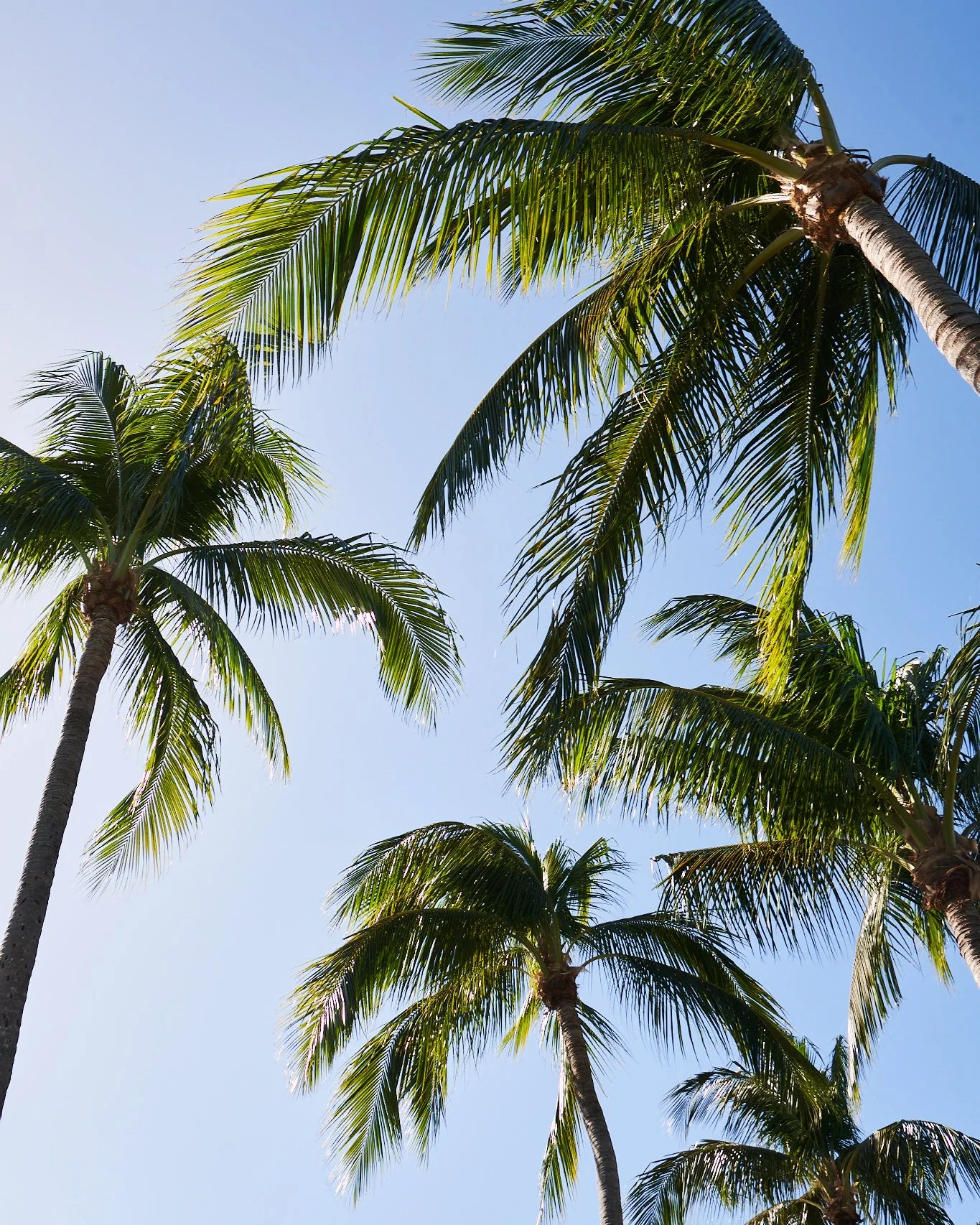 VictoriaWallHarris_Travel_Lifestyle_Photographer_LosAngeles_California_024.jpg