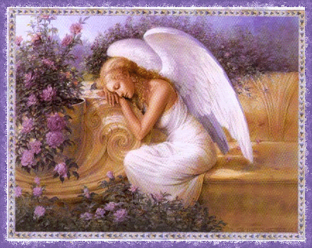 angel resting.gif