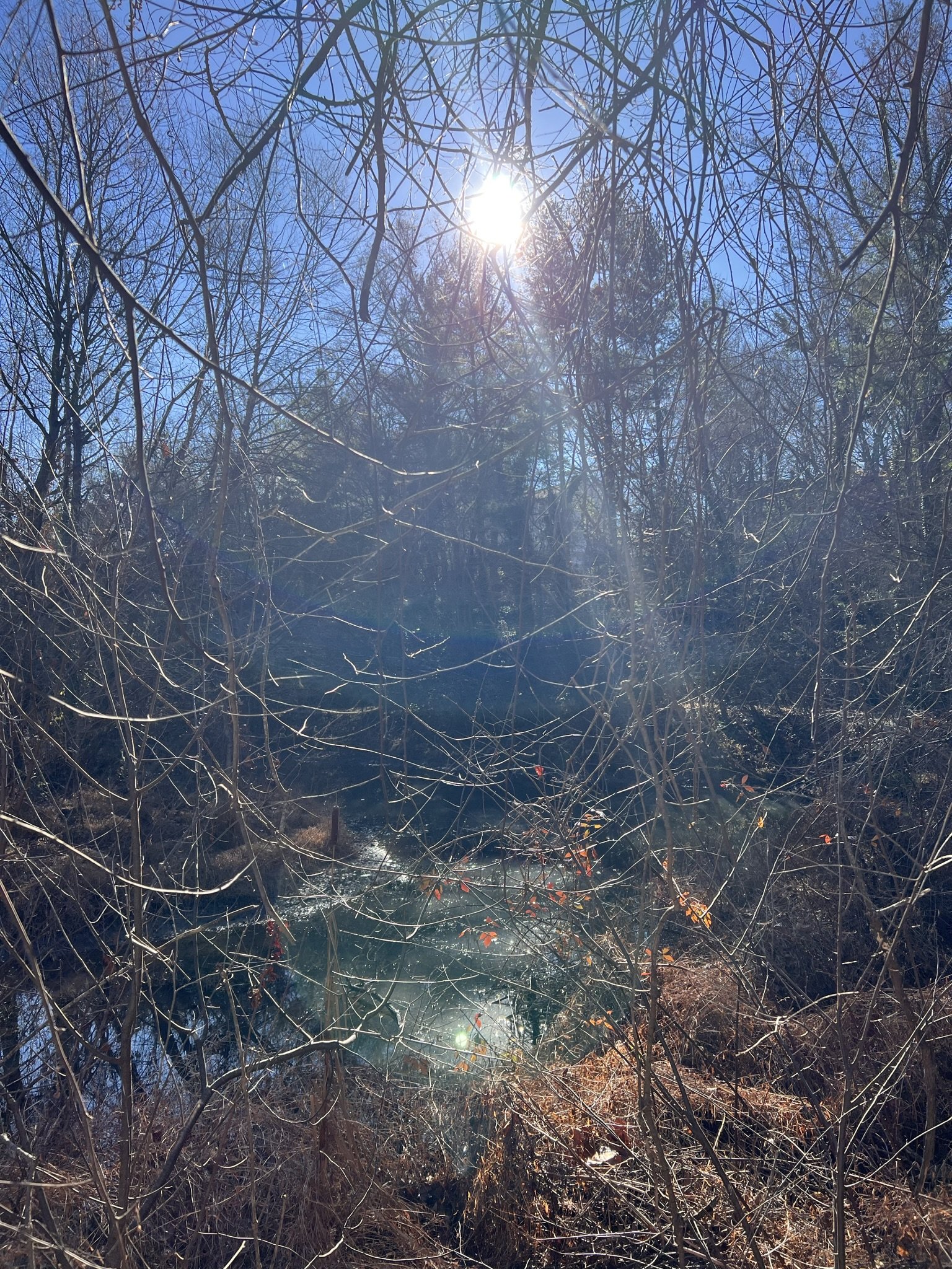 You are Abundance-Consciousness: Reveal It! Reveal Lakshmi Consciousness as Your Personal Consciousness on Lakshmi's Birthday 2022