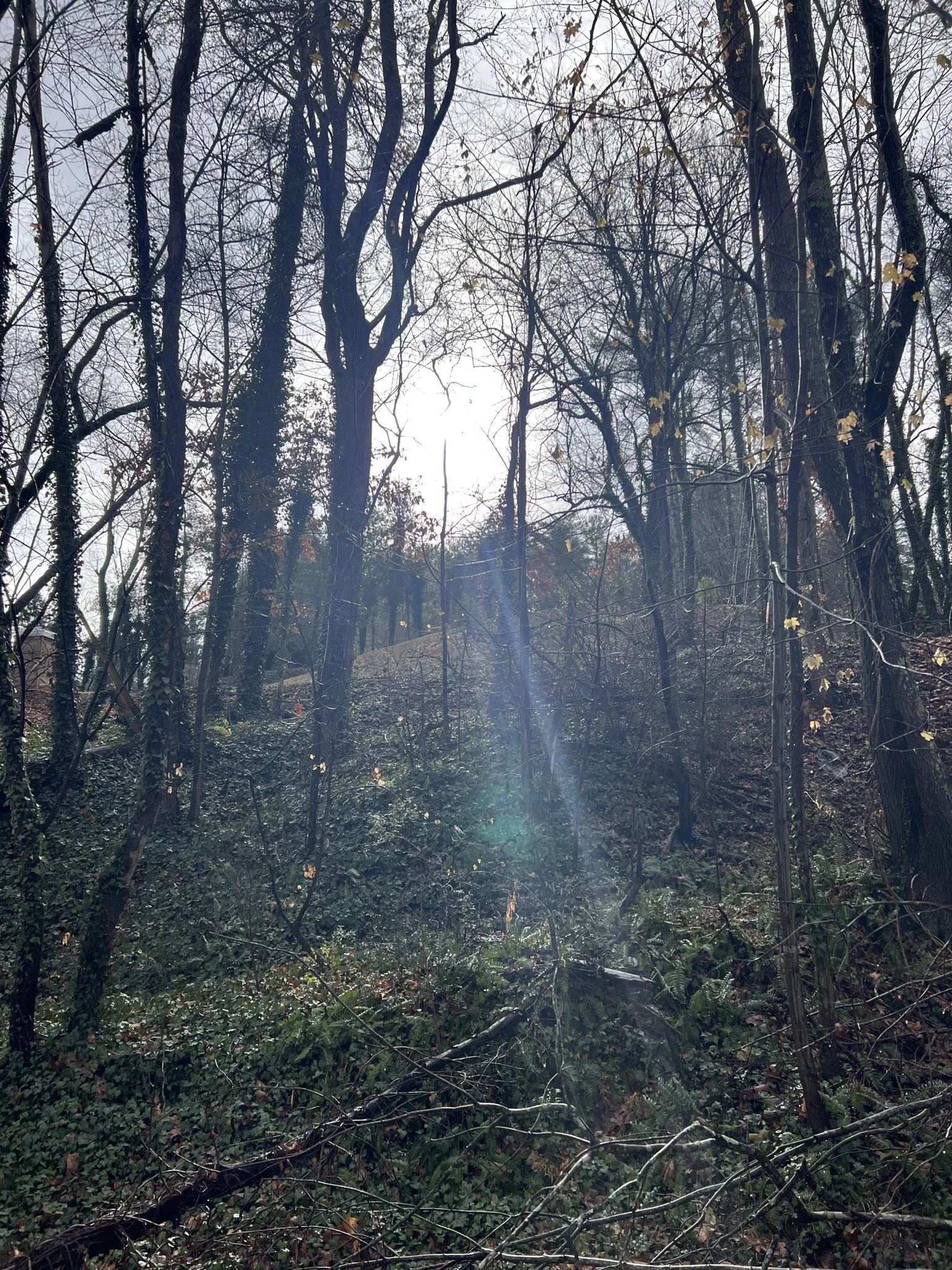 Stress Clearing: Special New Techniques to Release Stress from the Body, Mind, and Soul (with music)