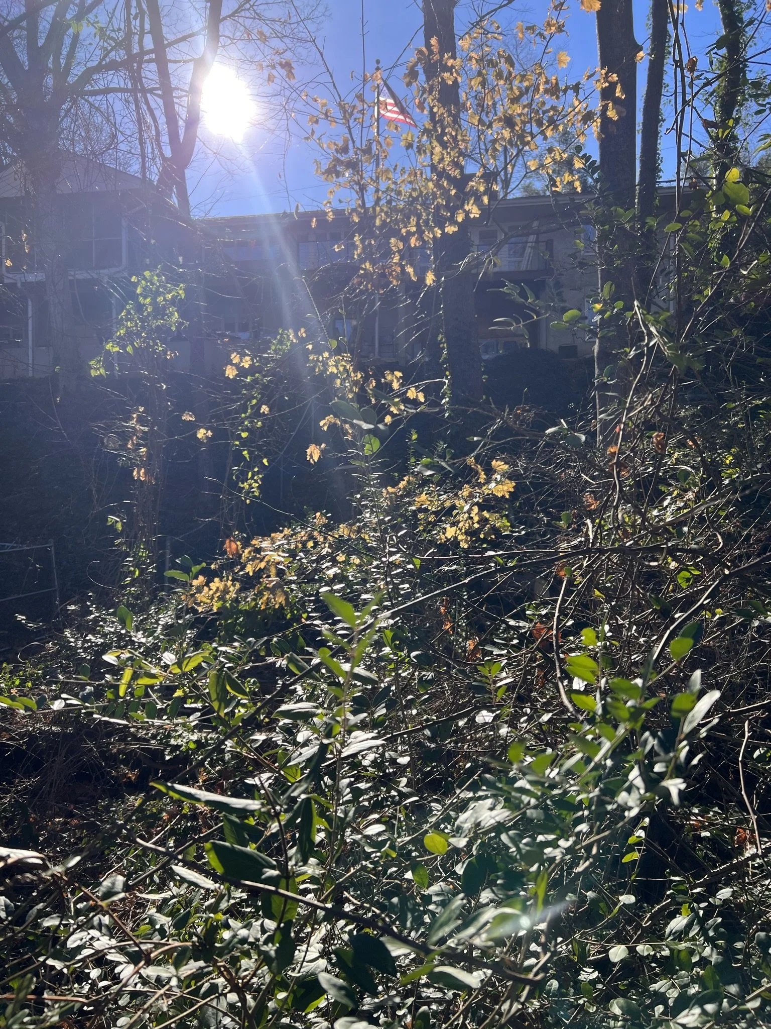 Mercury Retrograde Clearing: Experience a "Planetary Remedy" to Clear Bad Mercury Karma that can cause Communication Problems