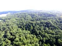 herndon-place-tn.jpg