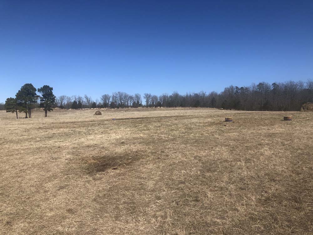 Hogan Creek Retreat — Lile Real Estate