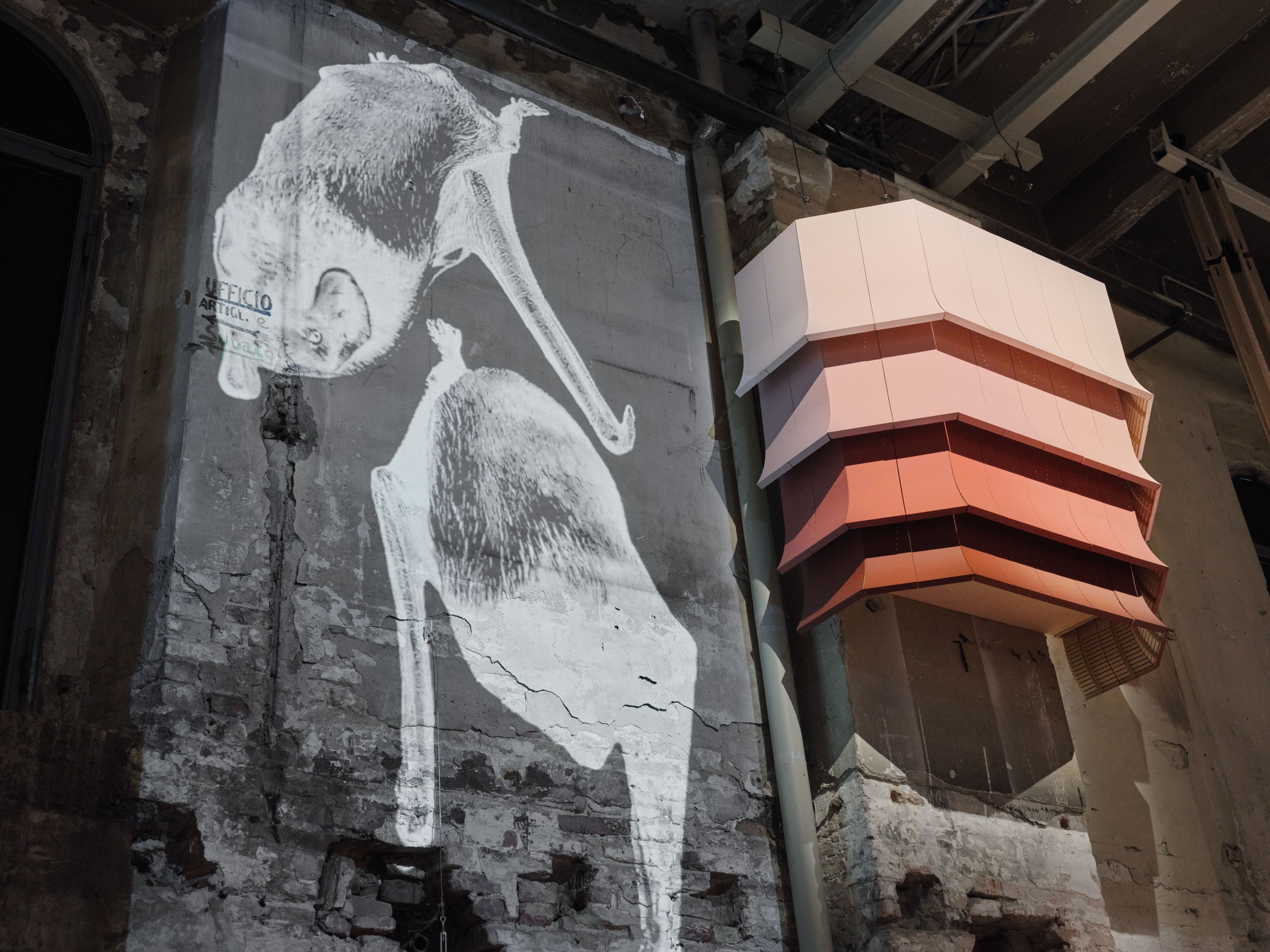 ghostly video projection of animals in venice italy