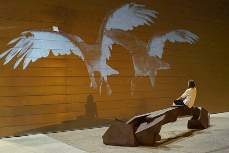 vulture art projection wildlife ecoart