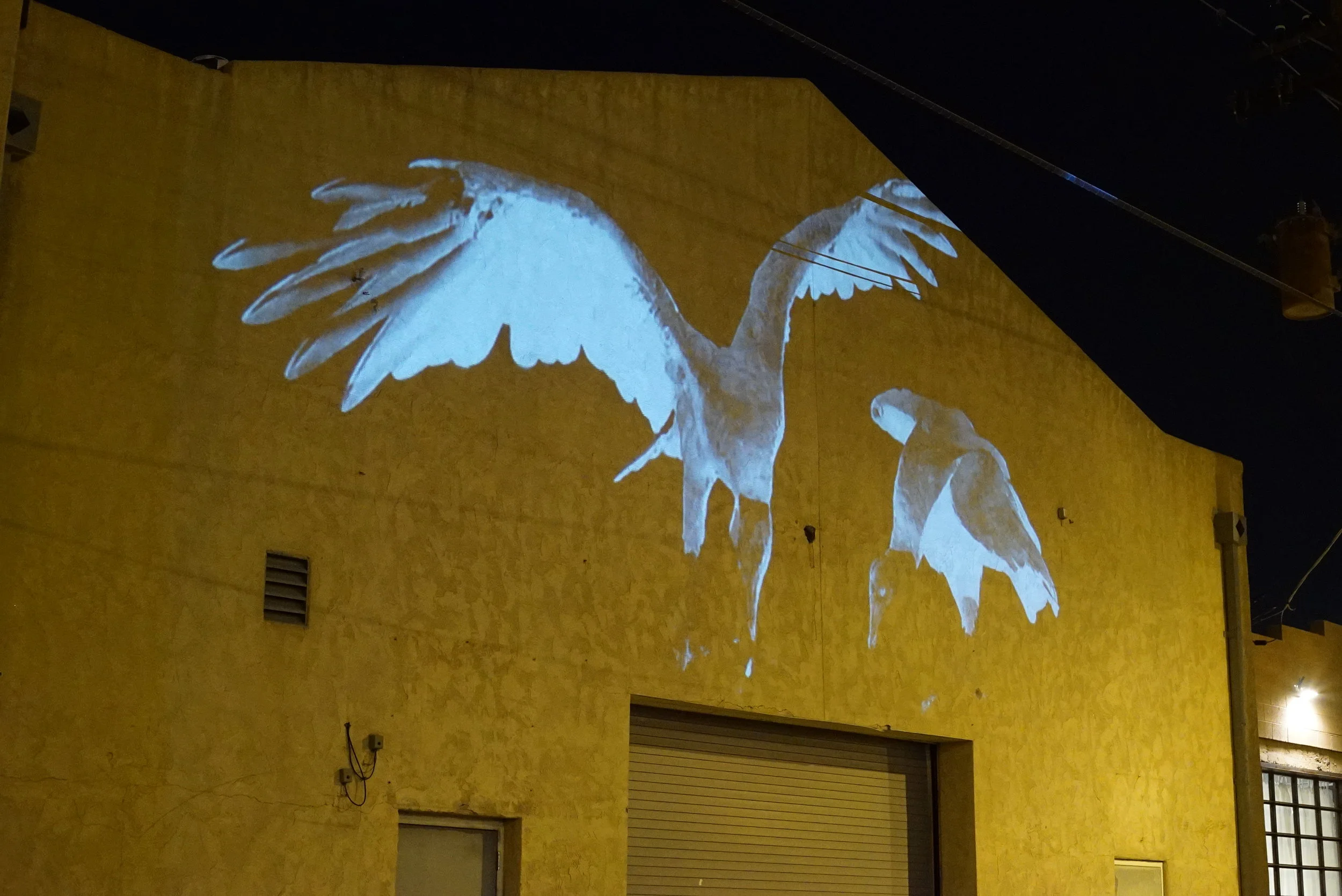 vulture animal projection art on a large concrete wall where birds are black and white and inverted and look ghostly and haunting as they appear to guard a garage door below