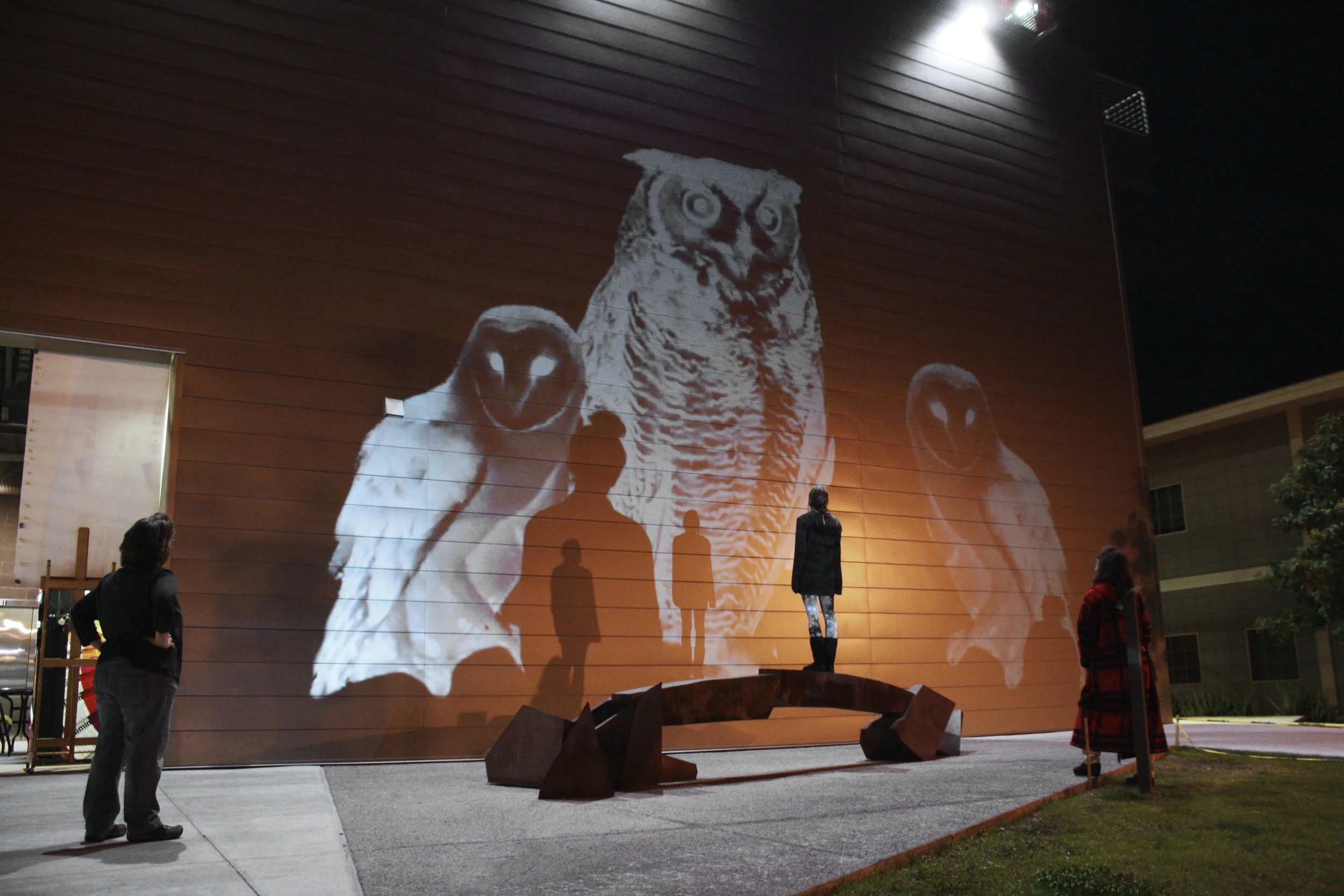 barn owl and great horned owl ghostly imagery projected art Phoenix College as viewers stand by and gaze at the giant wildlife