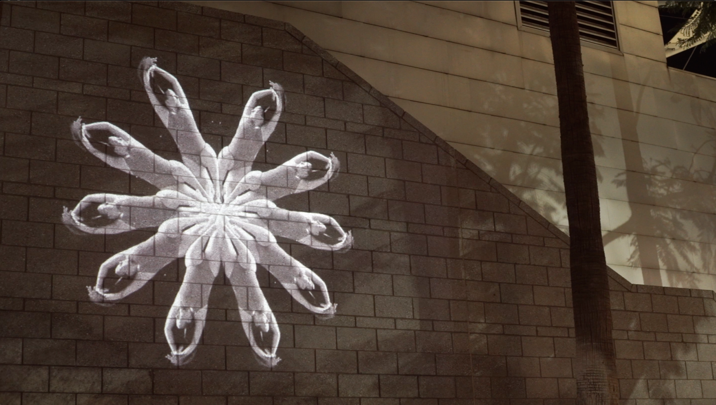 underwater synchronized swimmer art arizona landscape projection