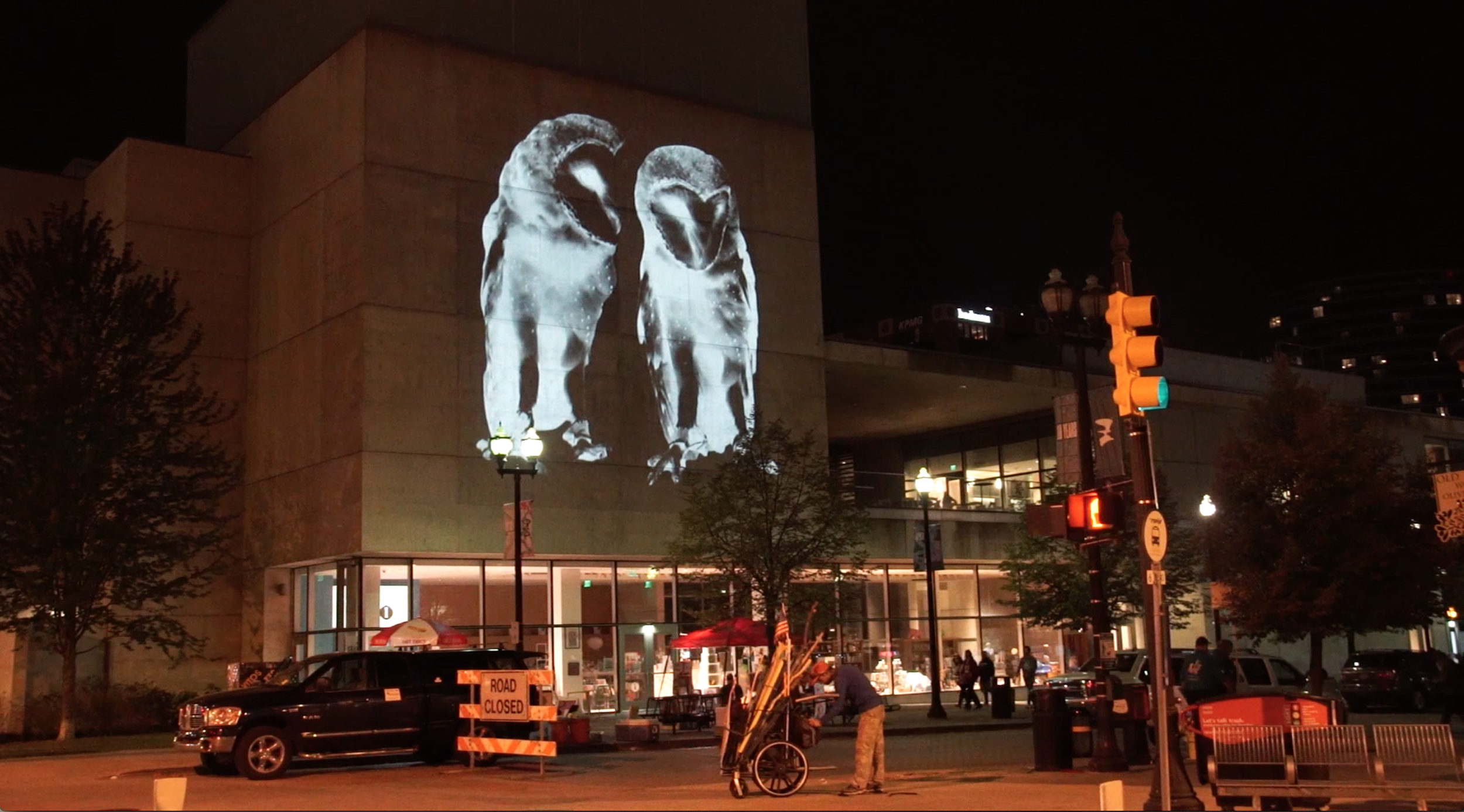 video projection art of barn owls on a huge wall in black and white and inverted