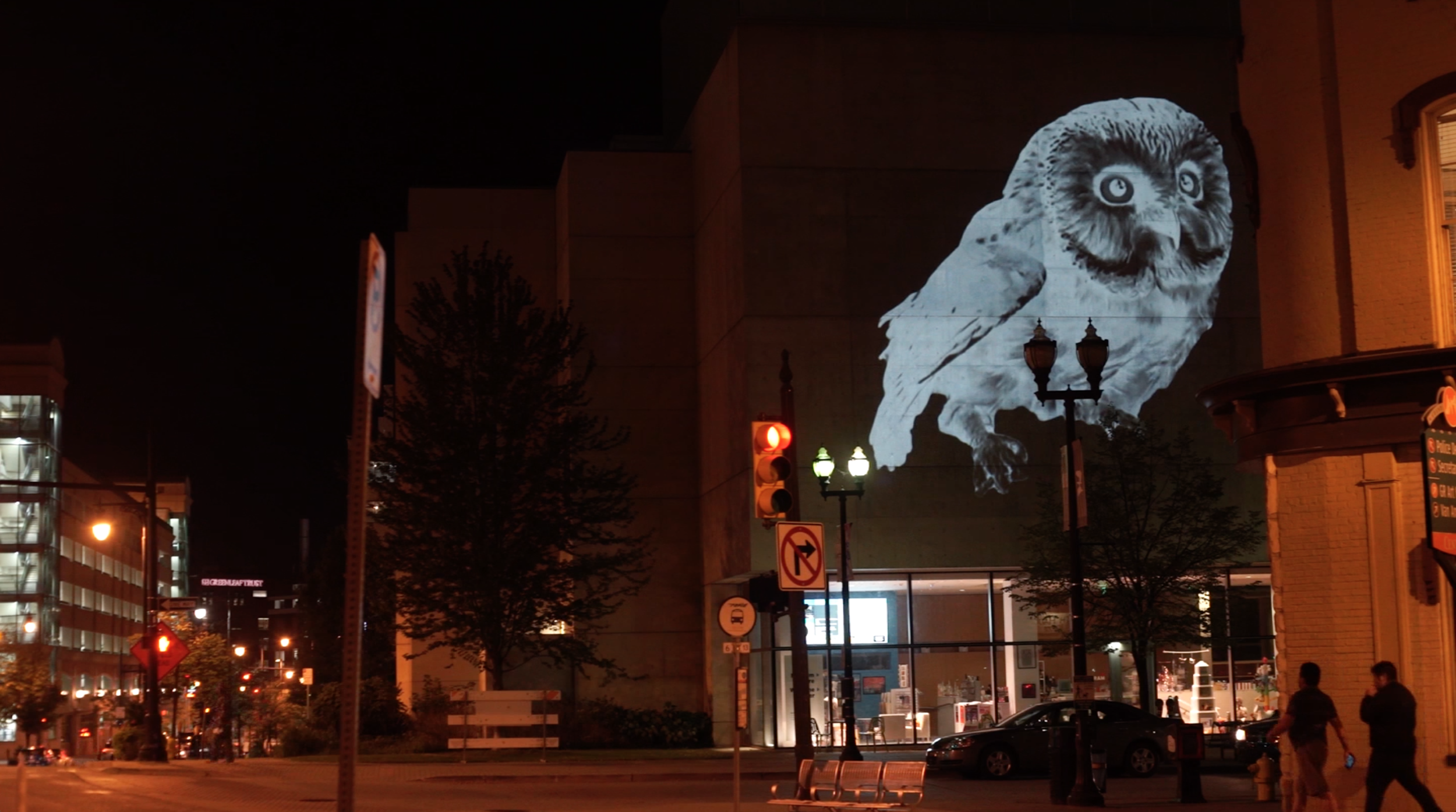 ghostly owl animal projection art projected onto the Grand Rapids Art Museum facade in downtown Grand Rapids