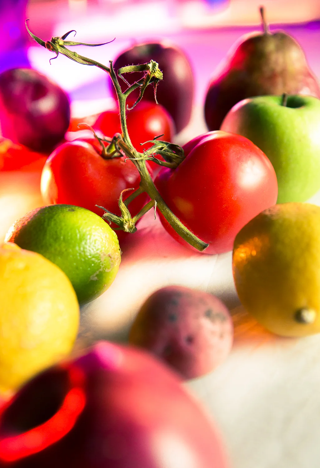 fruits.jpg