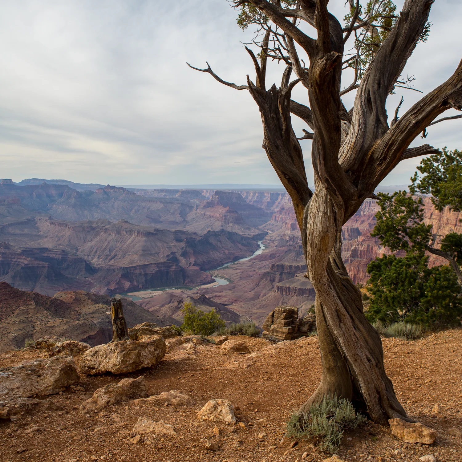 Grand Canyon, AZ 