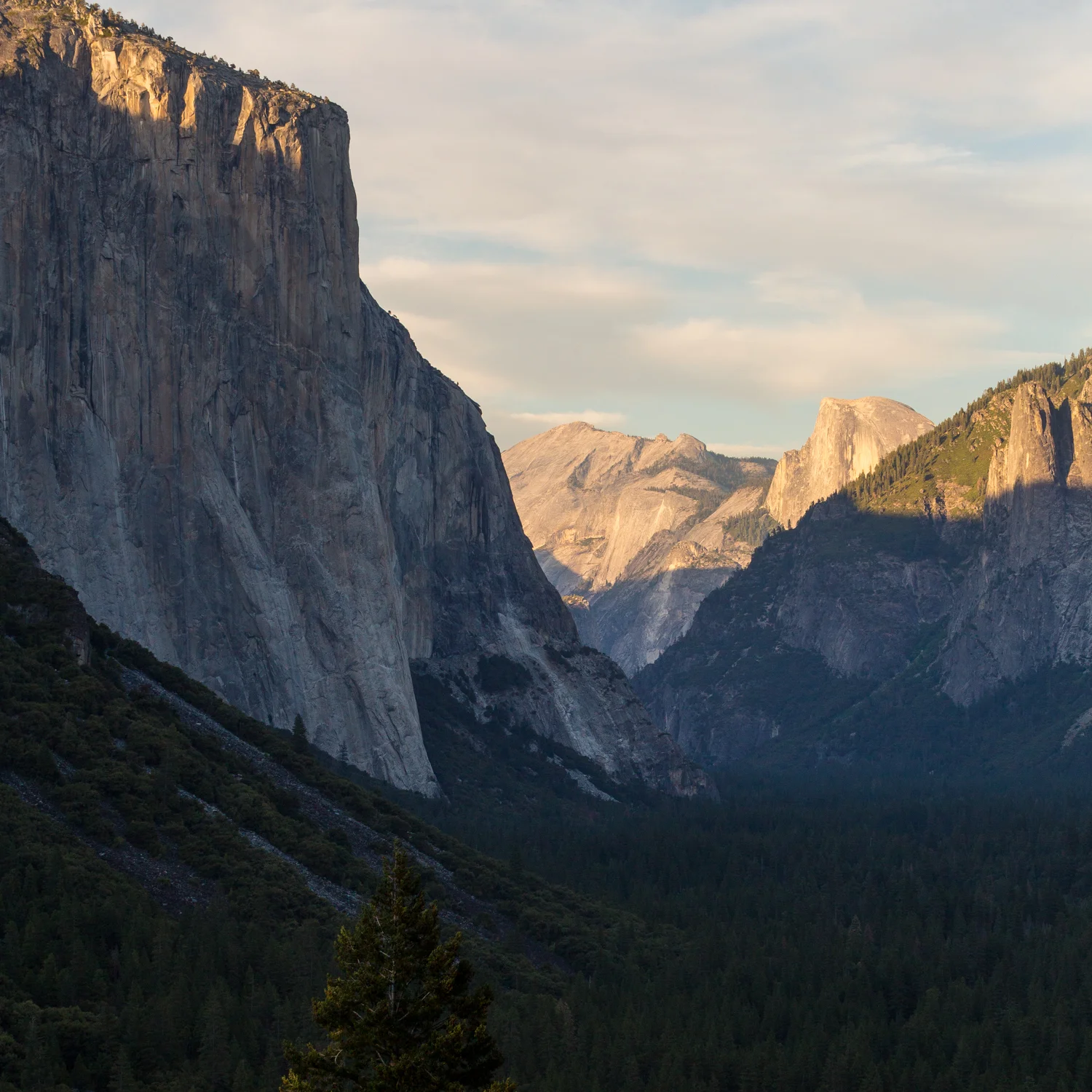  Yosemite National Park, CA 
