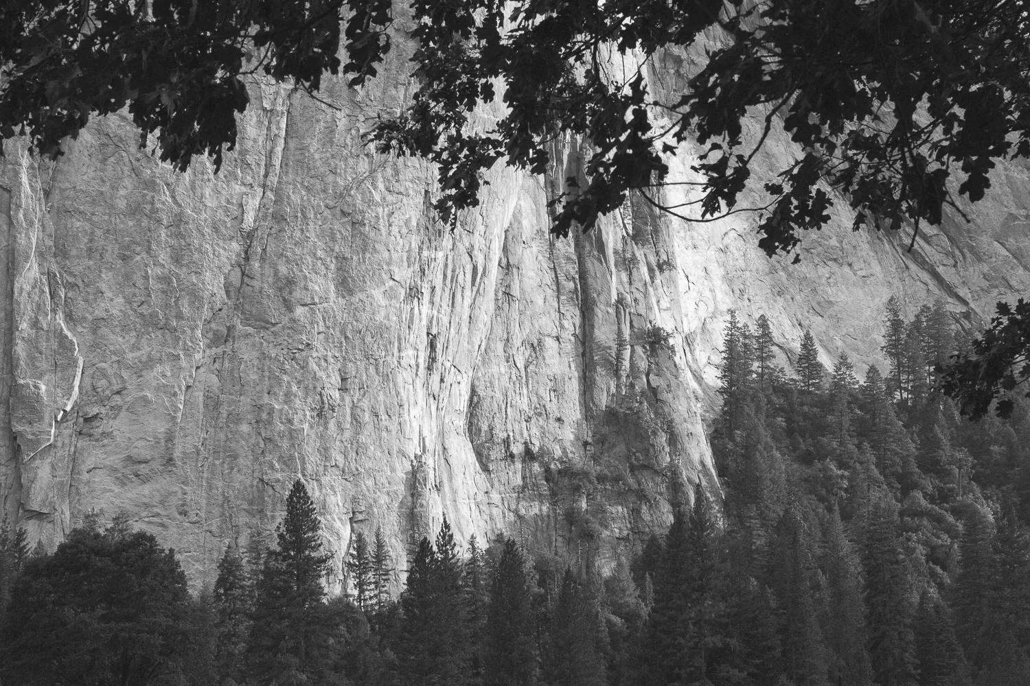  Yosemite National Park, CA 