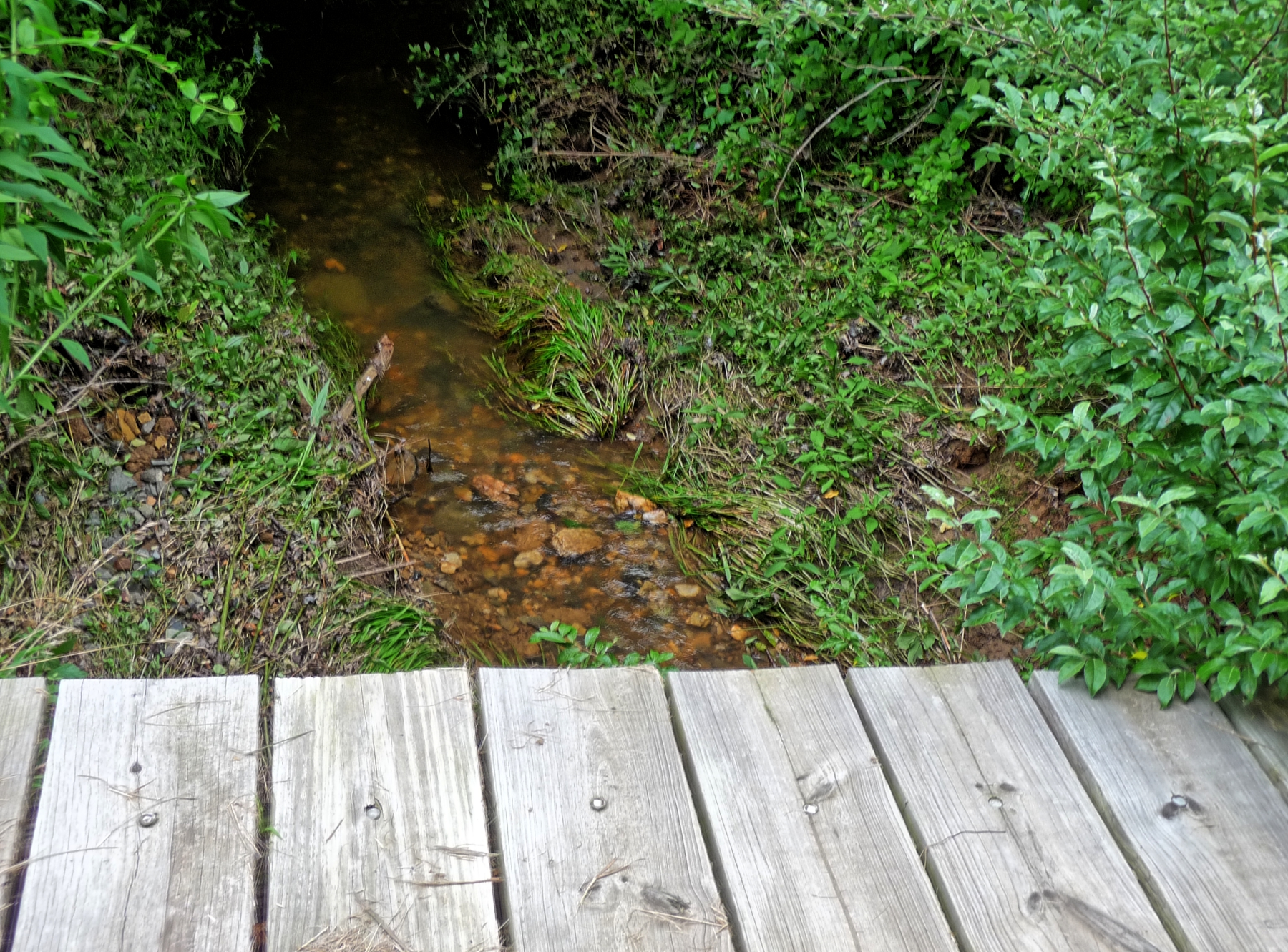 SheadsMtnFootBridge.jpg