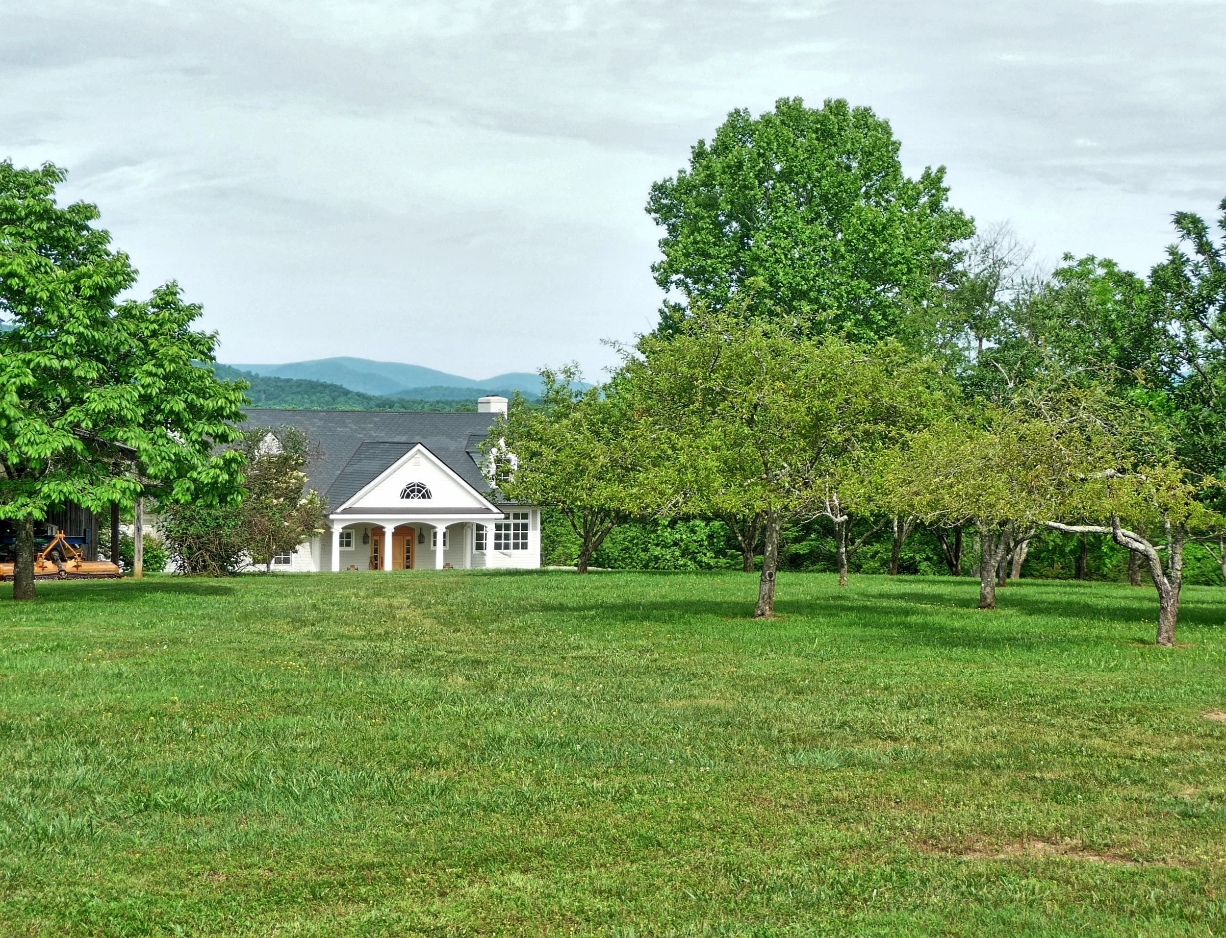 Castle Mtn - Main through orchard.jpg