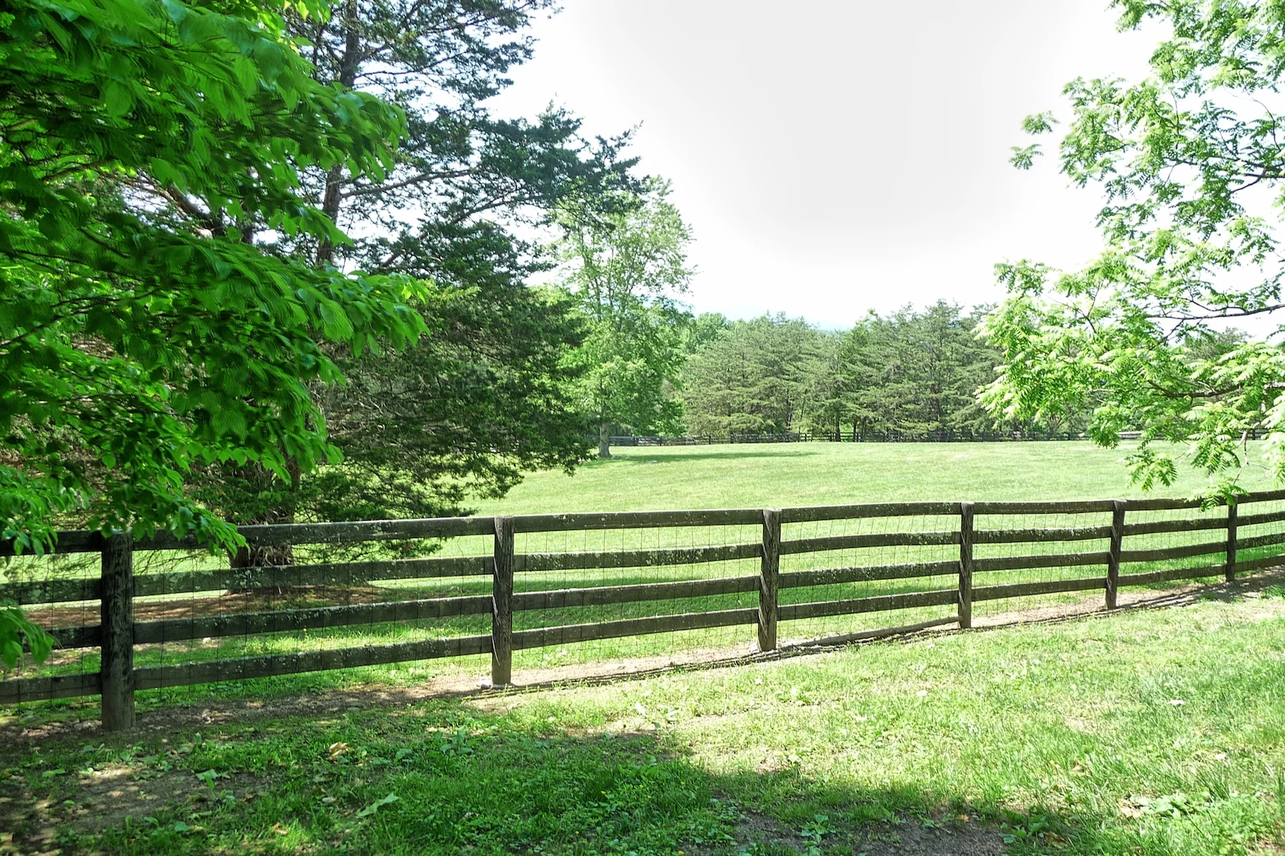 Castle Mtn. fenced front field.jpg