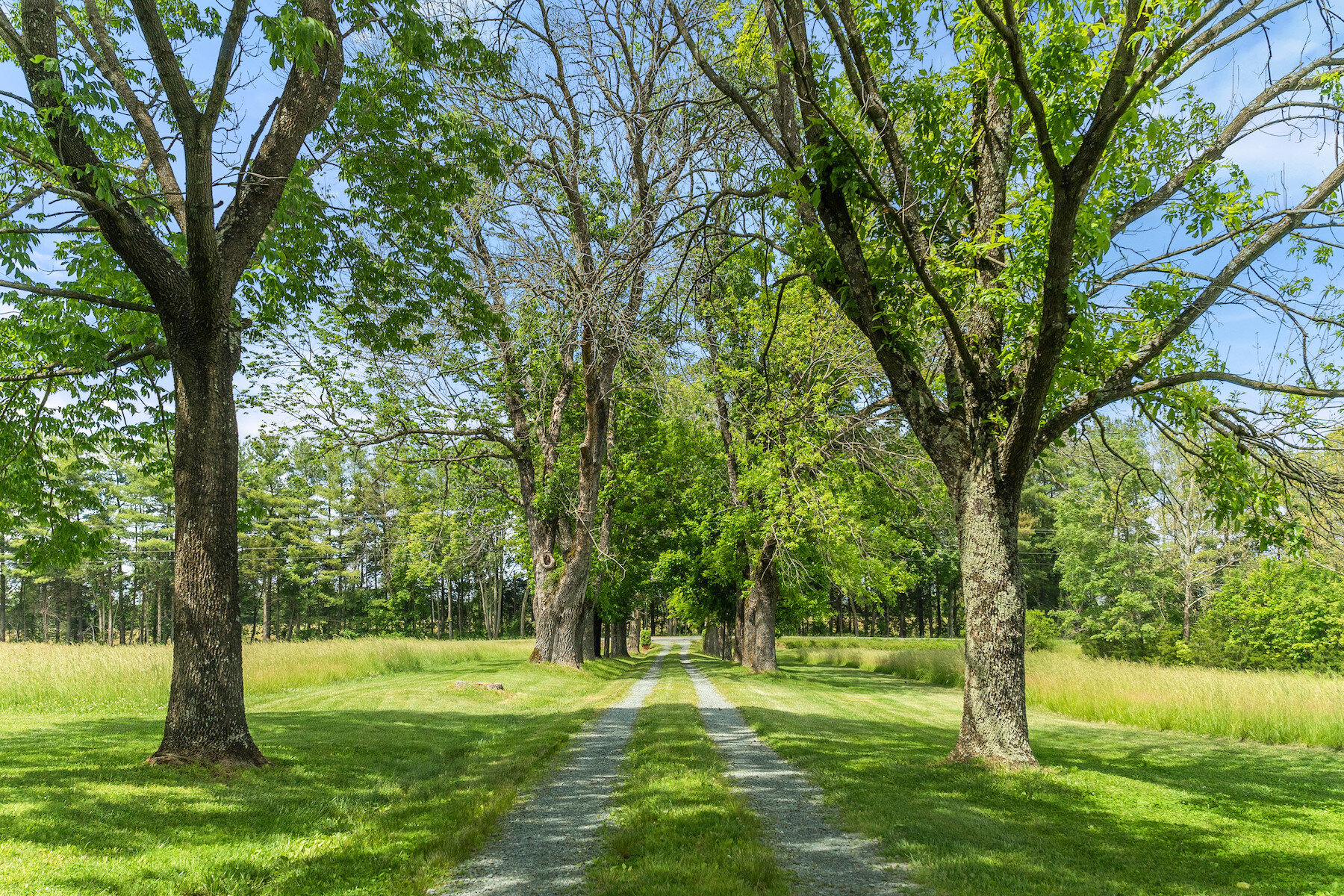 Driveway.jpg