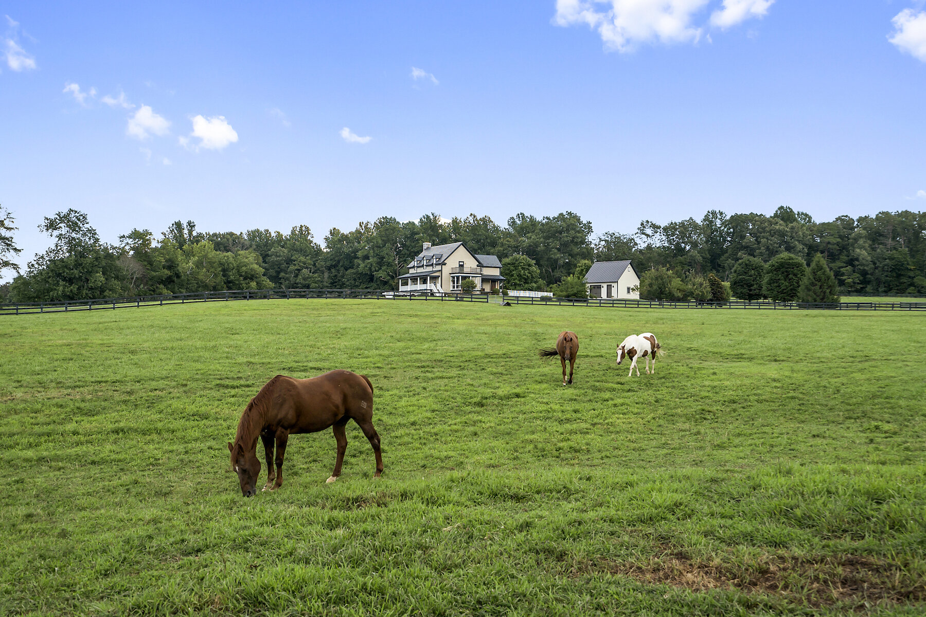 Big Run - Horses and house welcome copy.jpeg