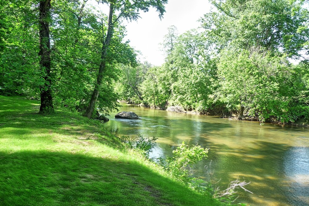 Castle Mtn. River bank.jpg