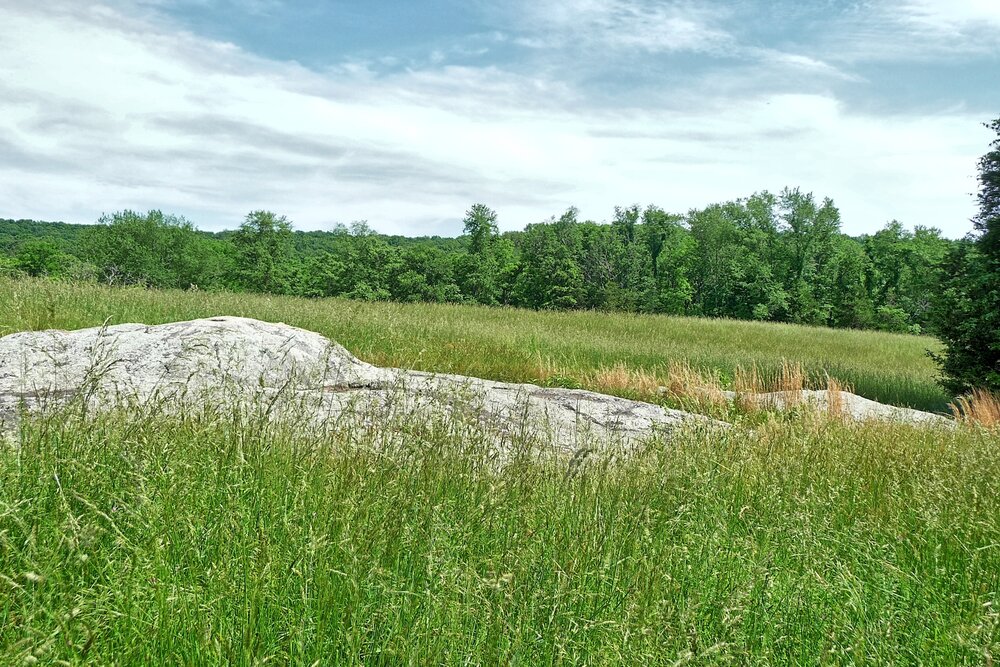 Castle Mtn. rock outcropping.jpg