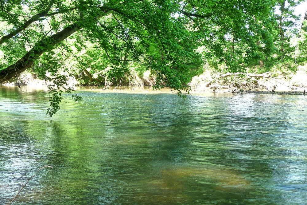 Castle Mtn. River front.jpg