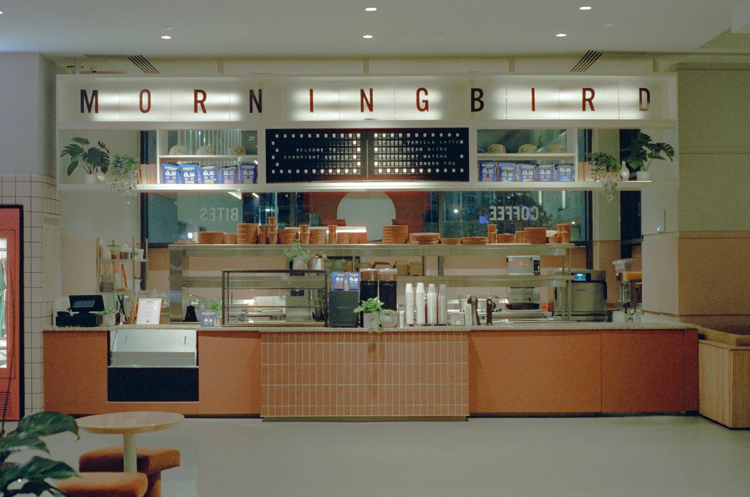 Leica M3 // 50mm // Cinestill 800t