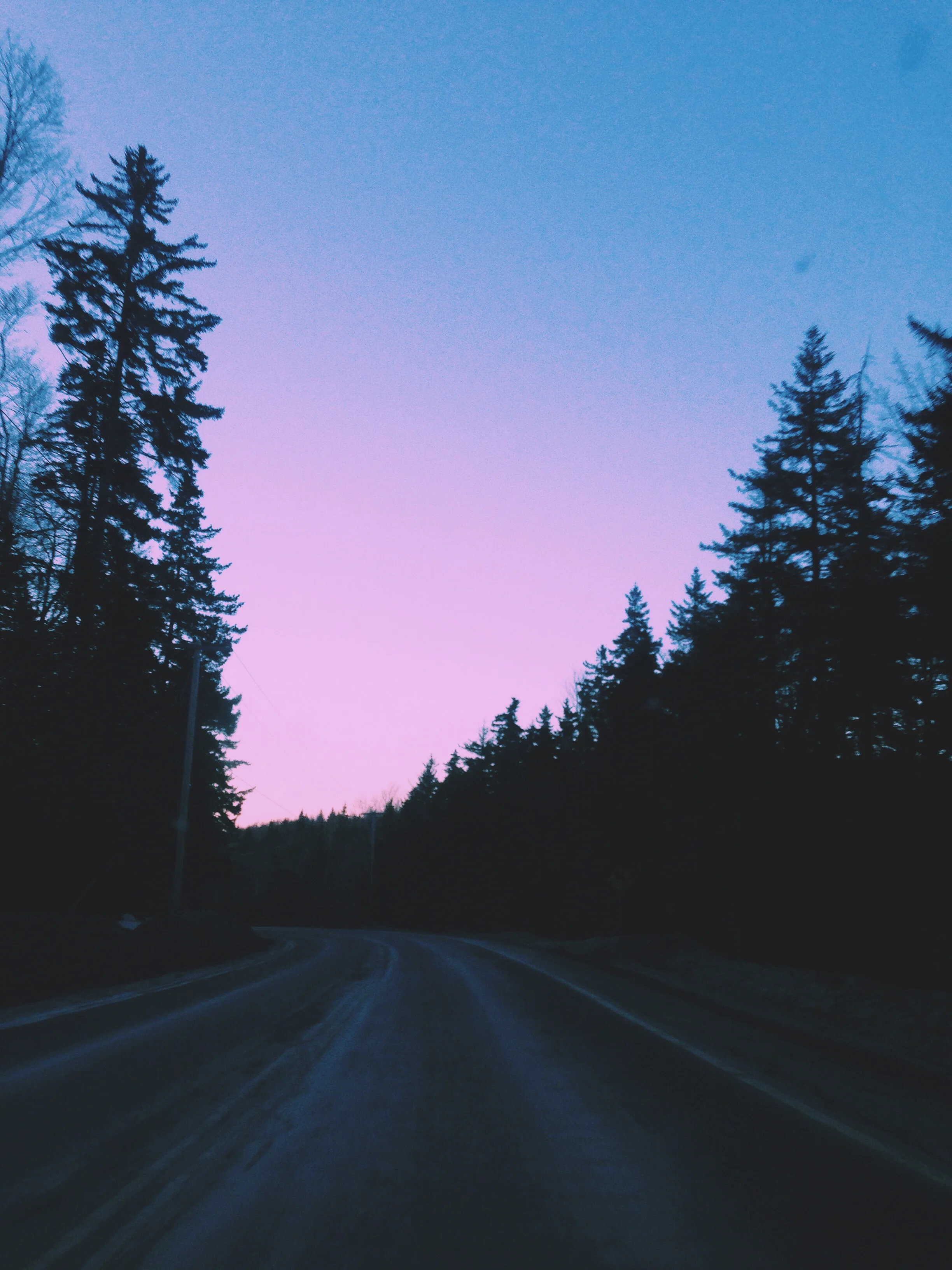 IMG_0937.jpeg