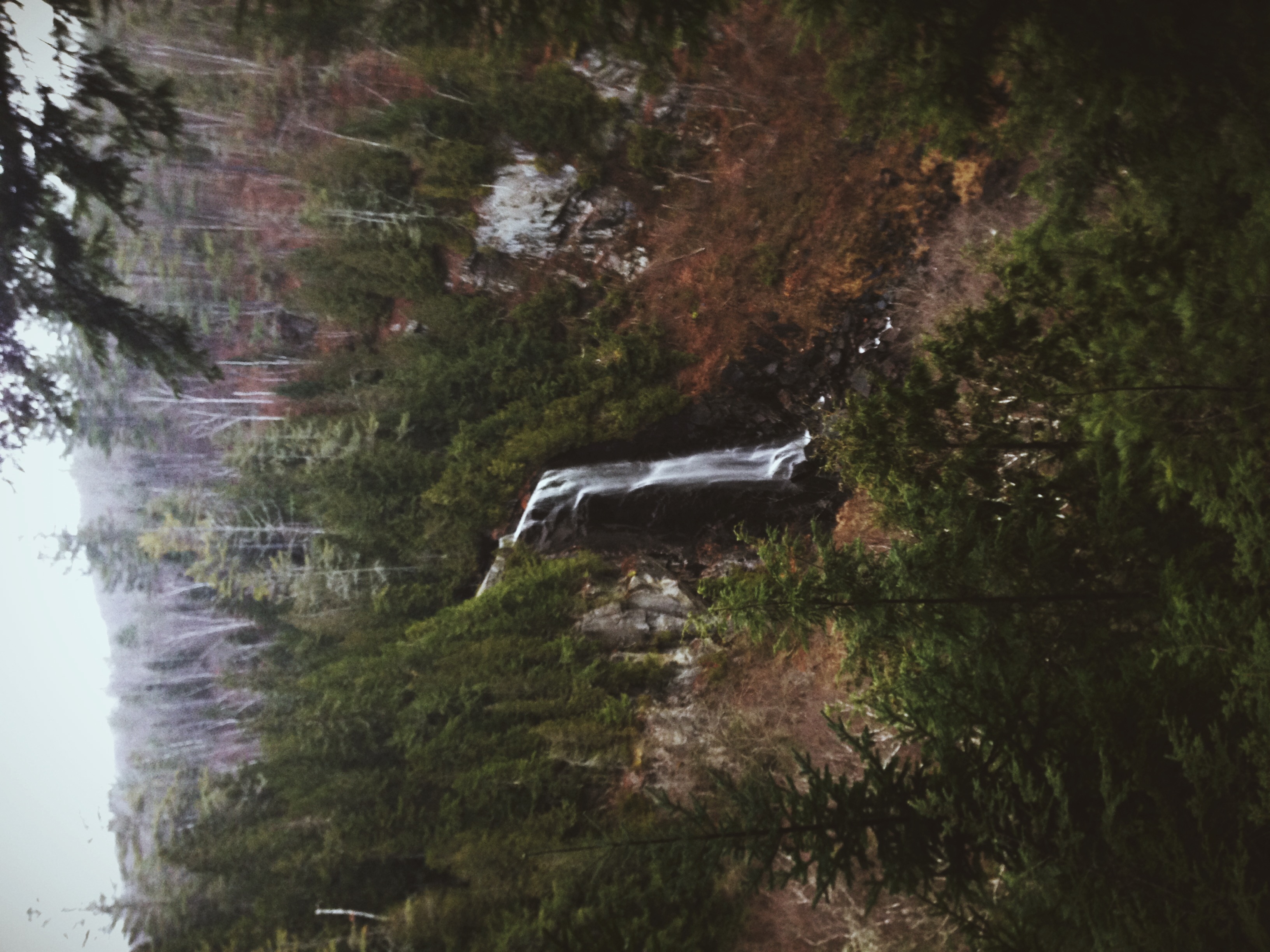 IMG_2710.jpeg