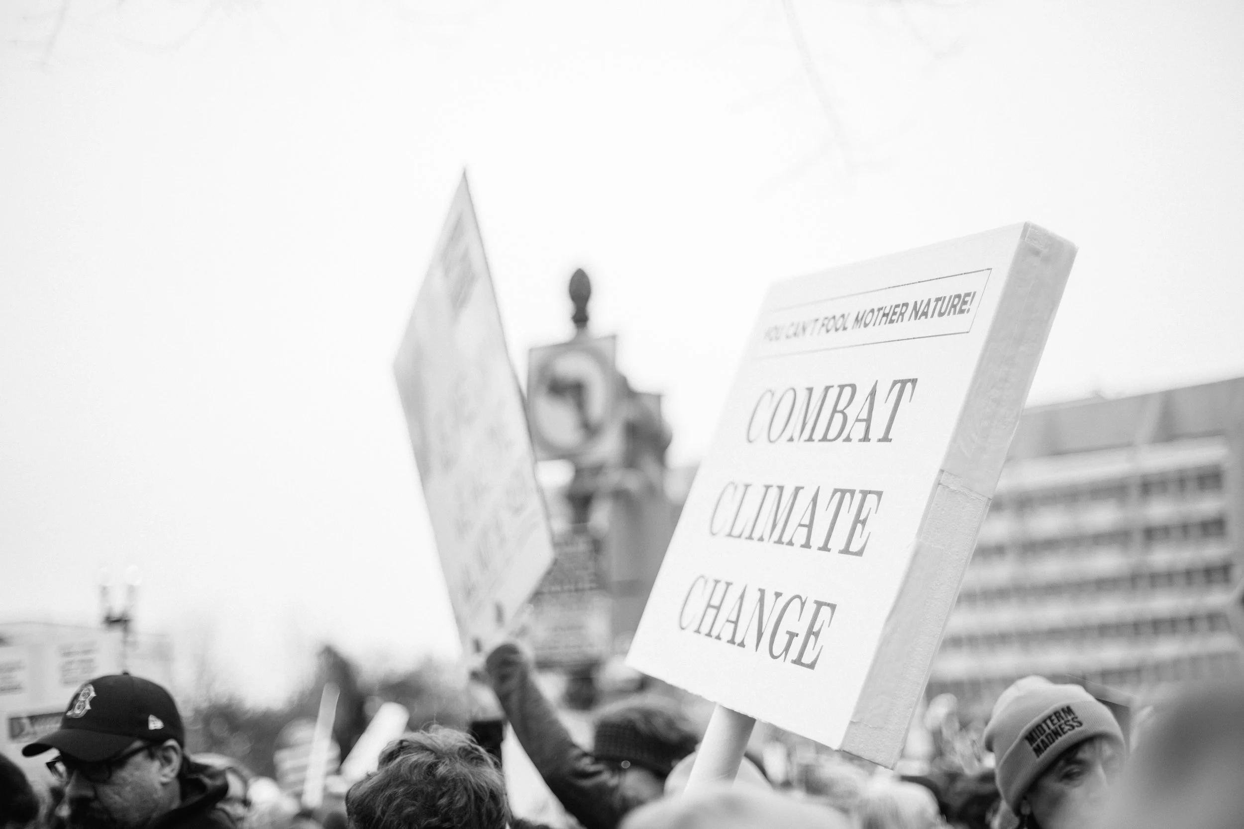 6A1A3041.jpg