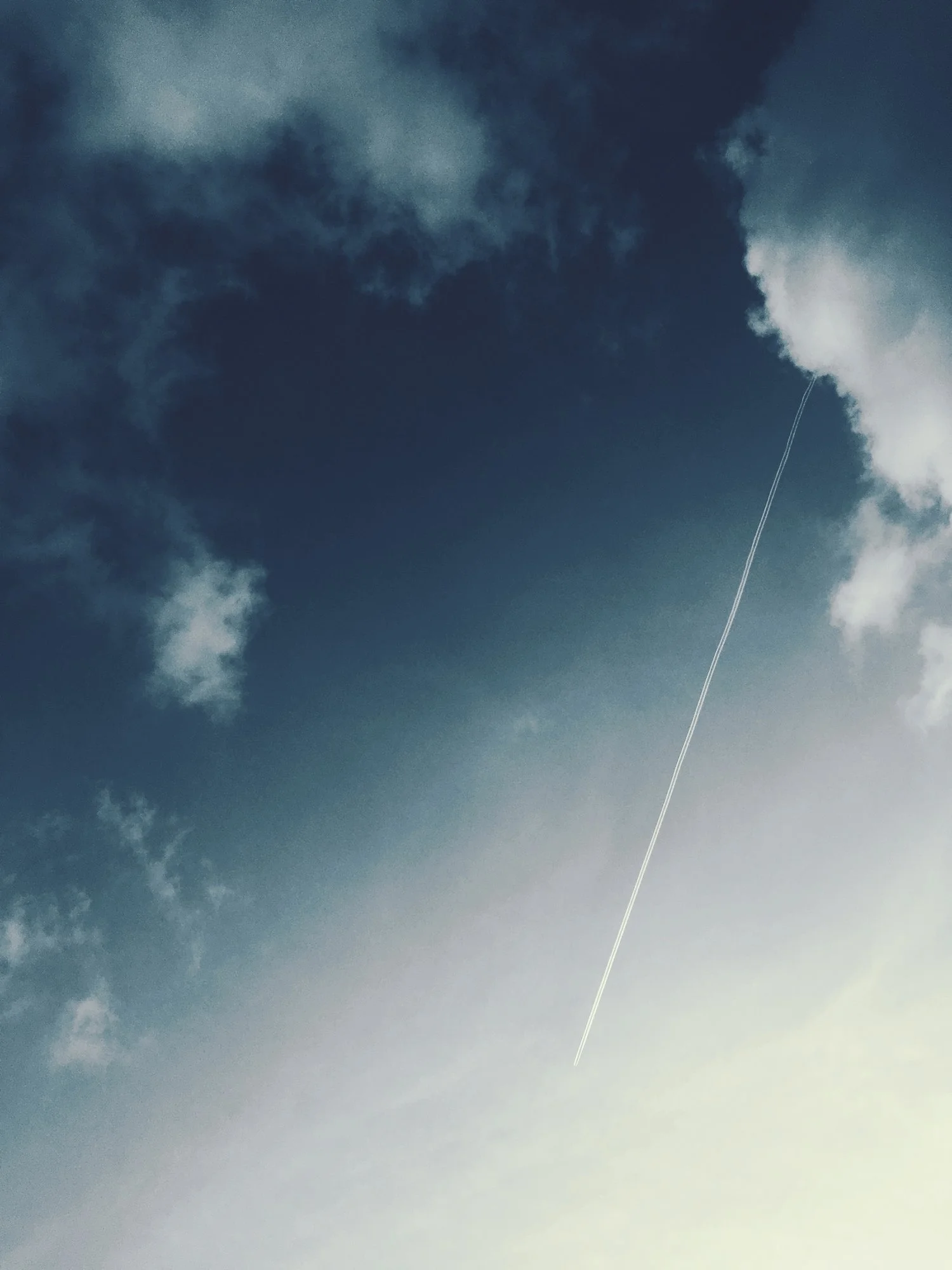 flybabyfly.01.jpg