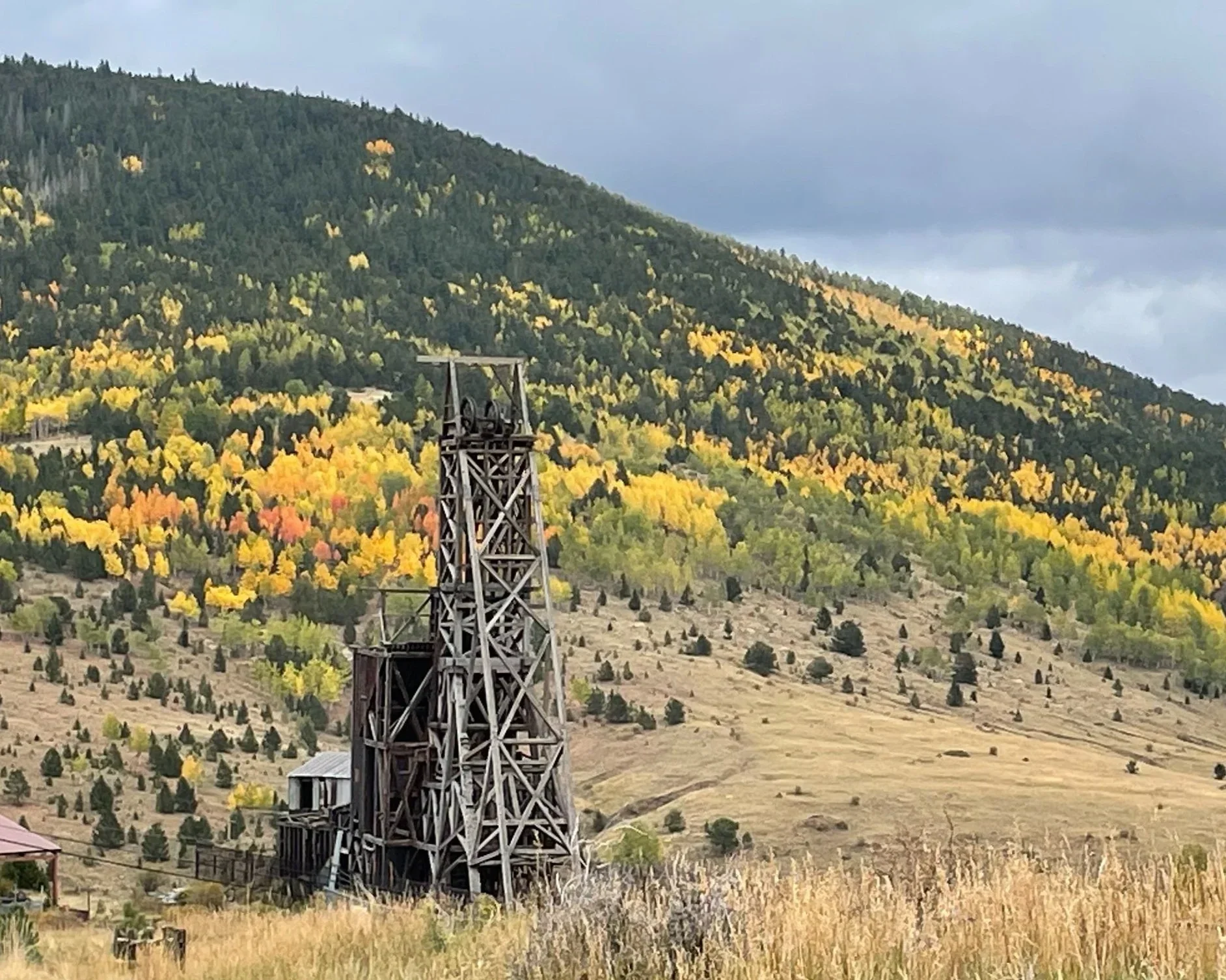 VCTA Web Banner.webp