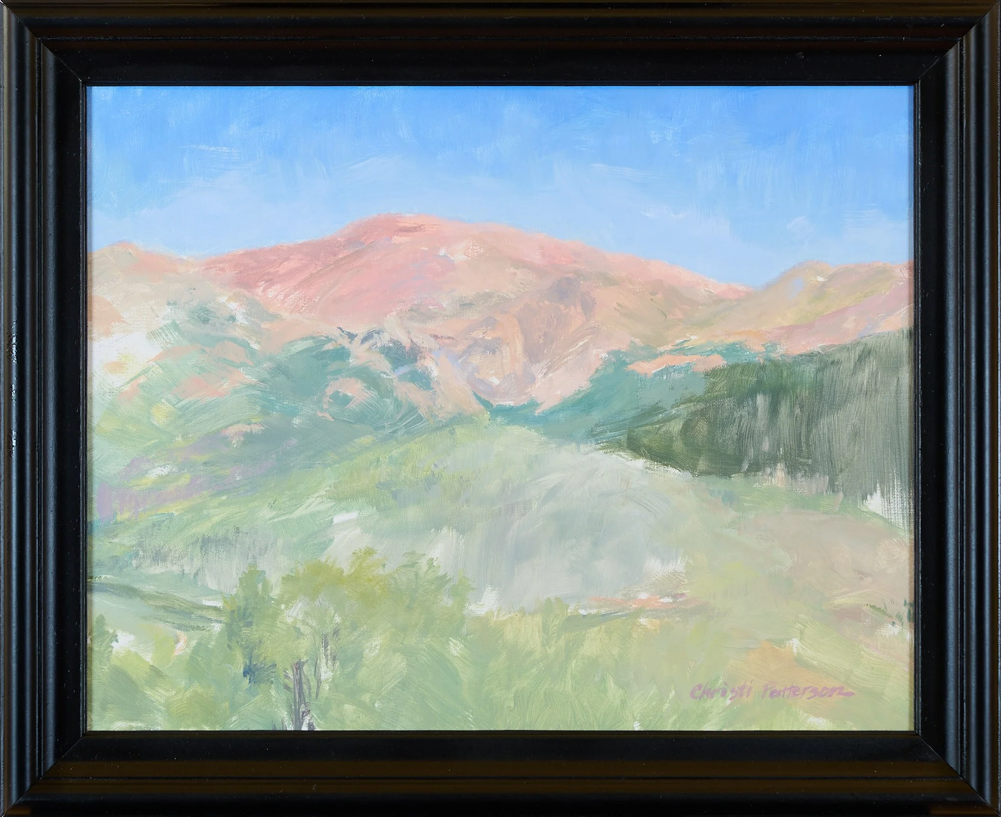 VCTA 2026 Online Sale 0154 #213.jpg