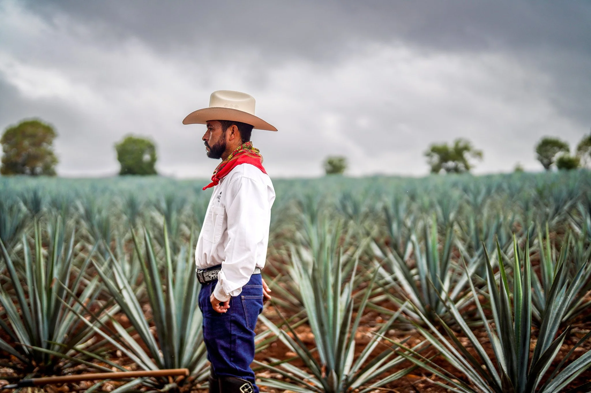 Patron