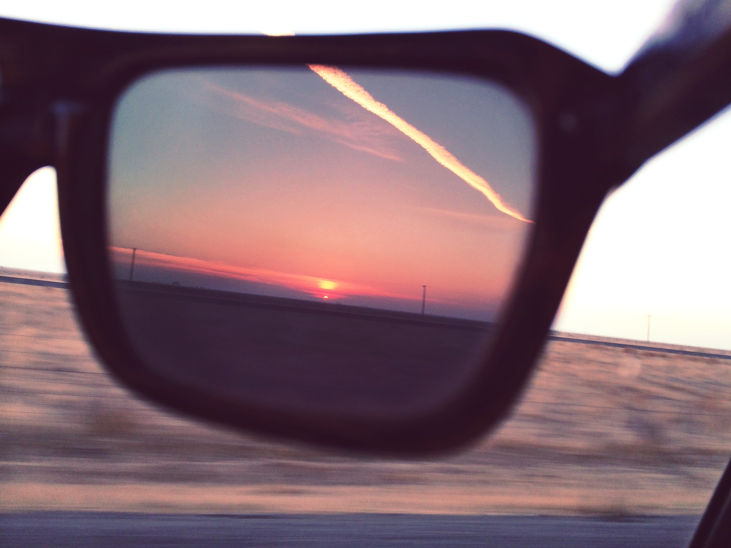 Wooed by the Sun.jpg