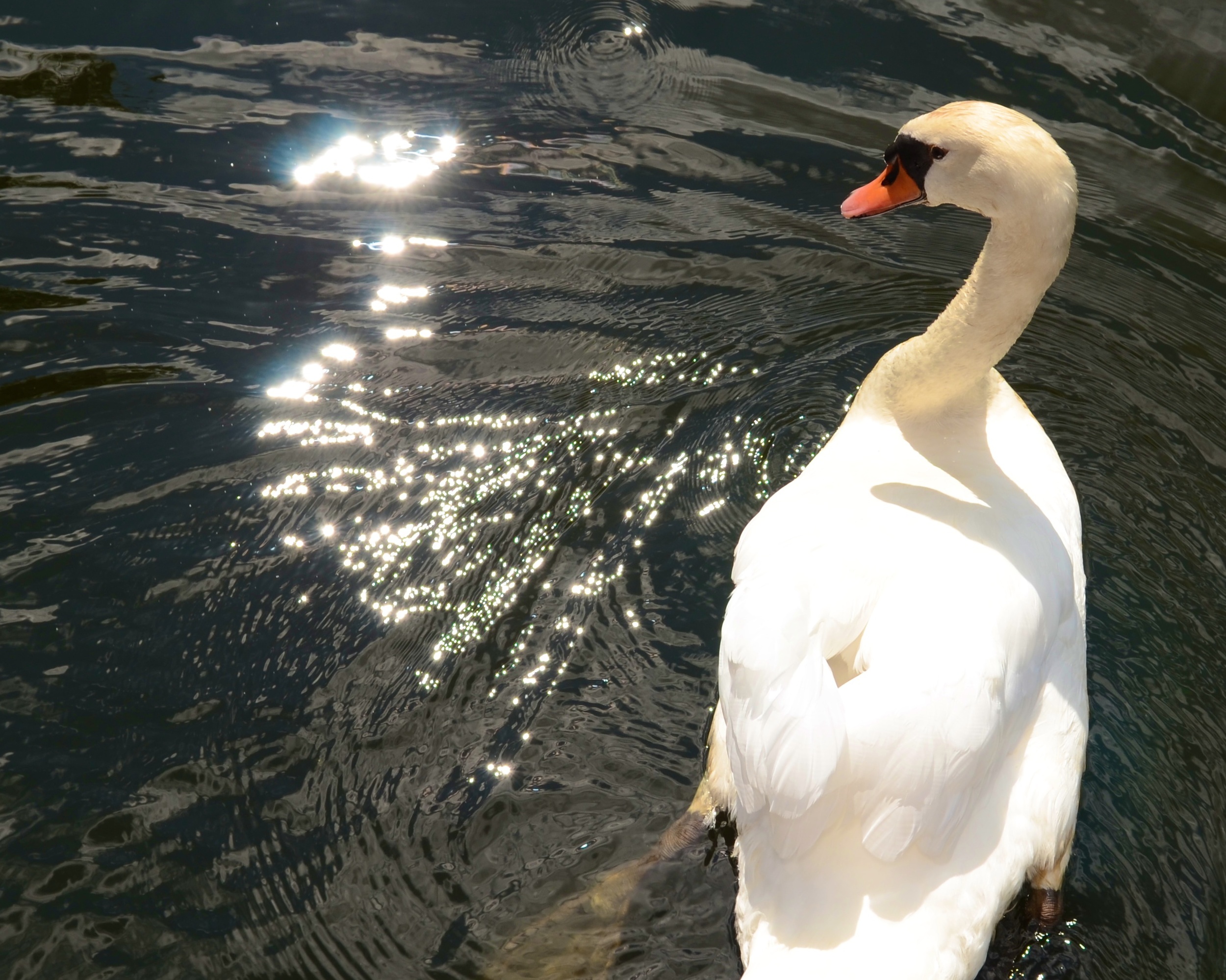 DSC_3099.jpg