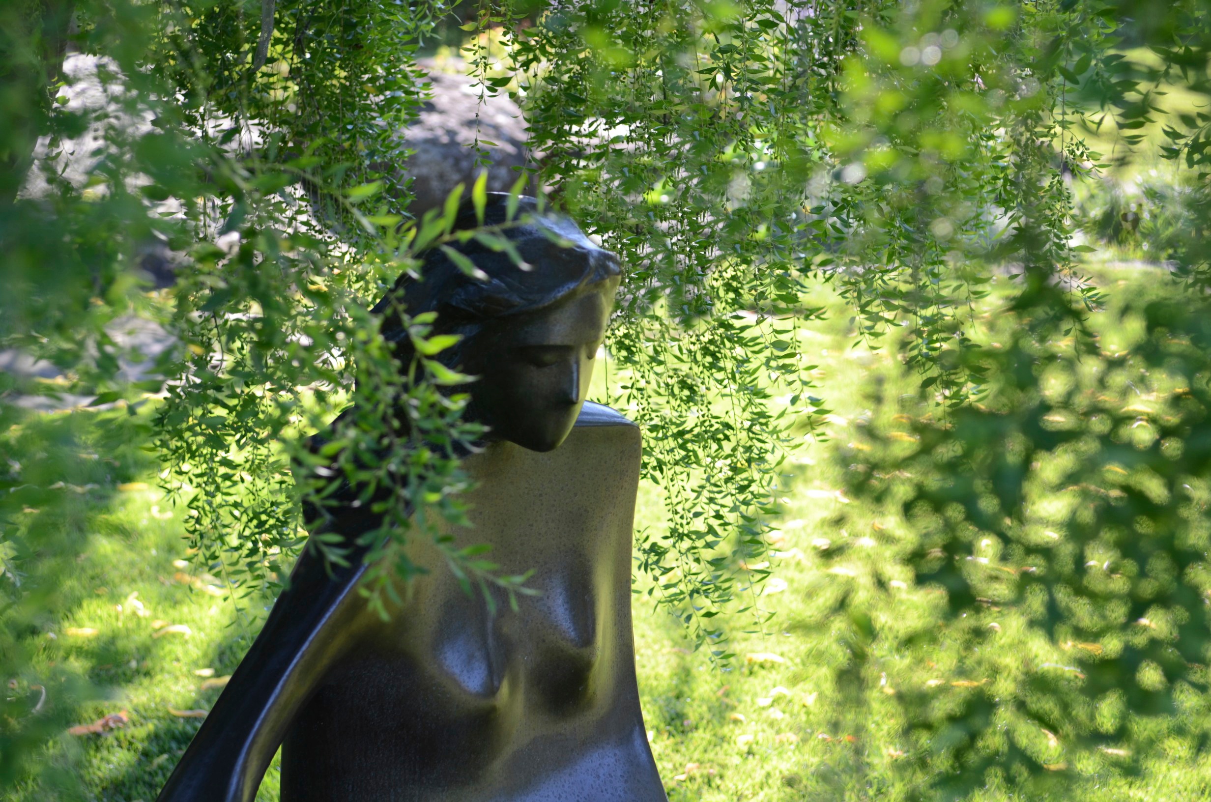 Girl on a Bench DSC_3327 - 2011-07-16 at 16-50-47.jpg