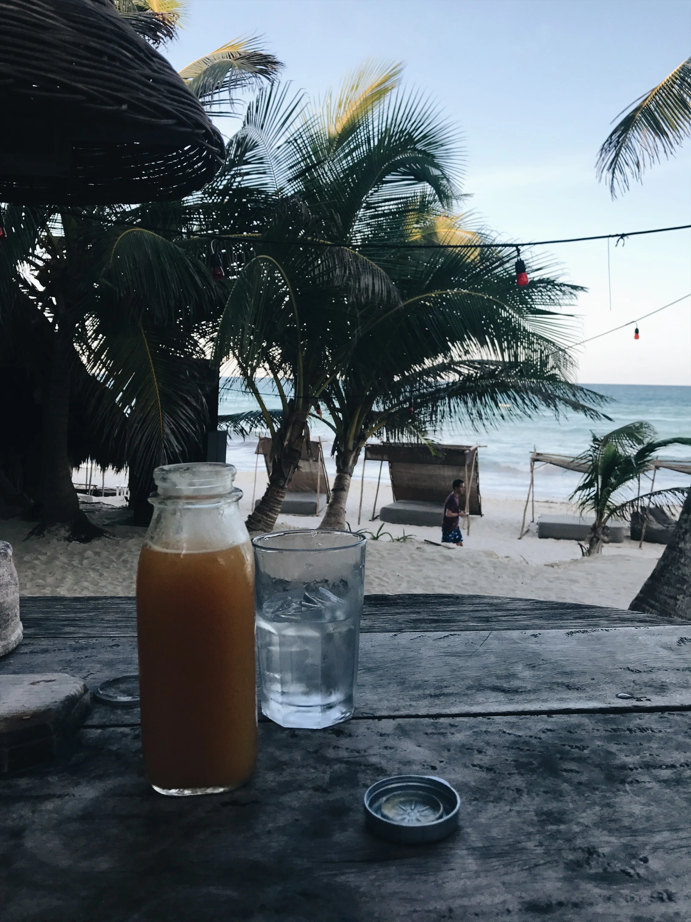 weekend-travel-guide-tulum-mexico-papaya-playa-project-17.JPG