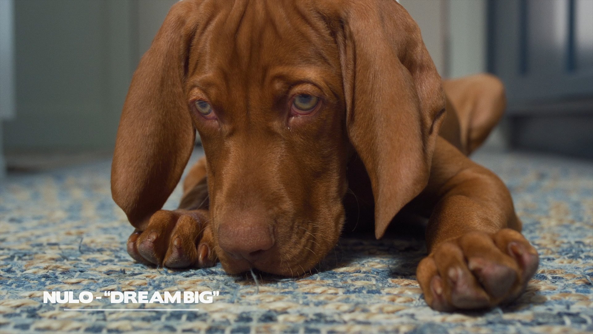 Nulo "Dream Big" Commercial
