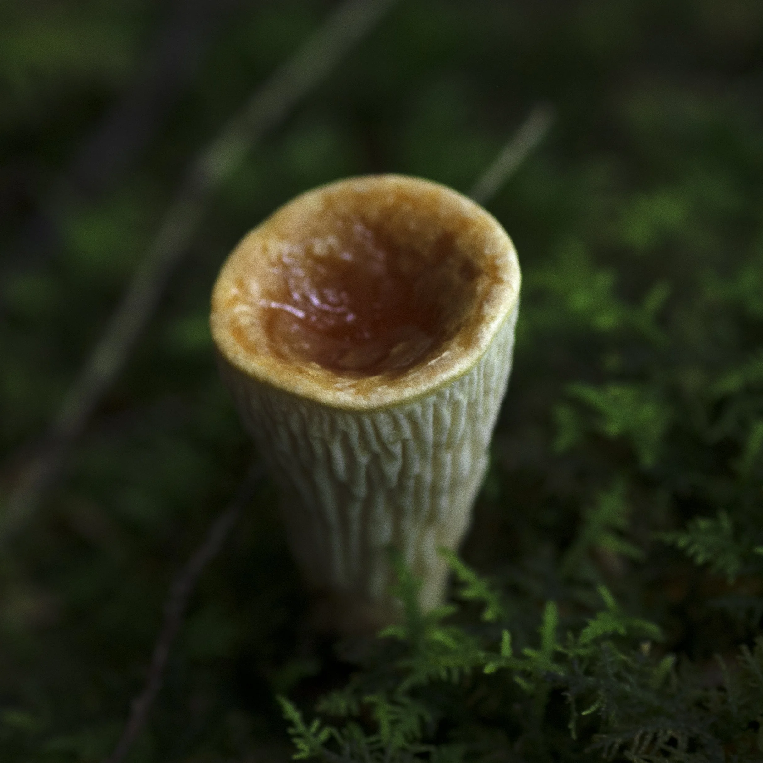 DSC_0400.jpg