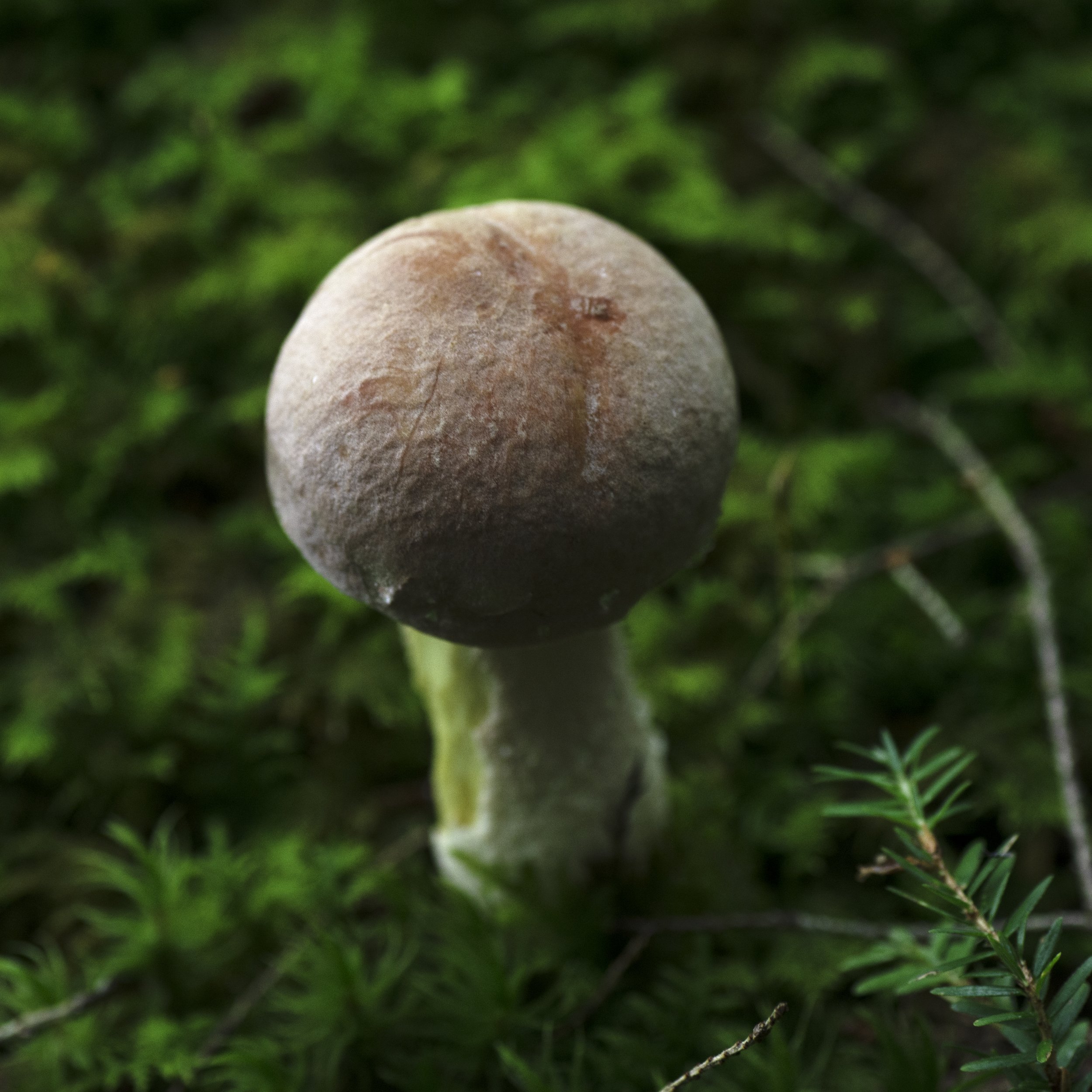 DSC_0399.jpg
