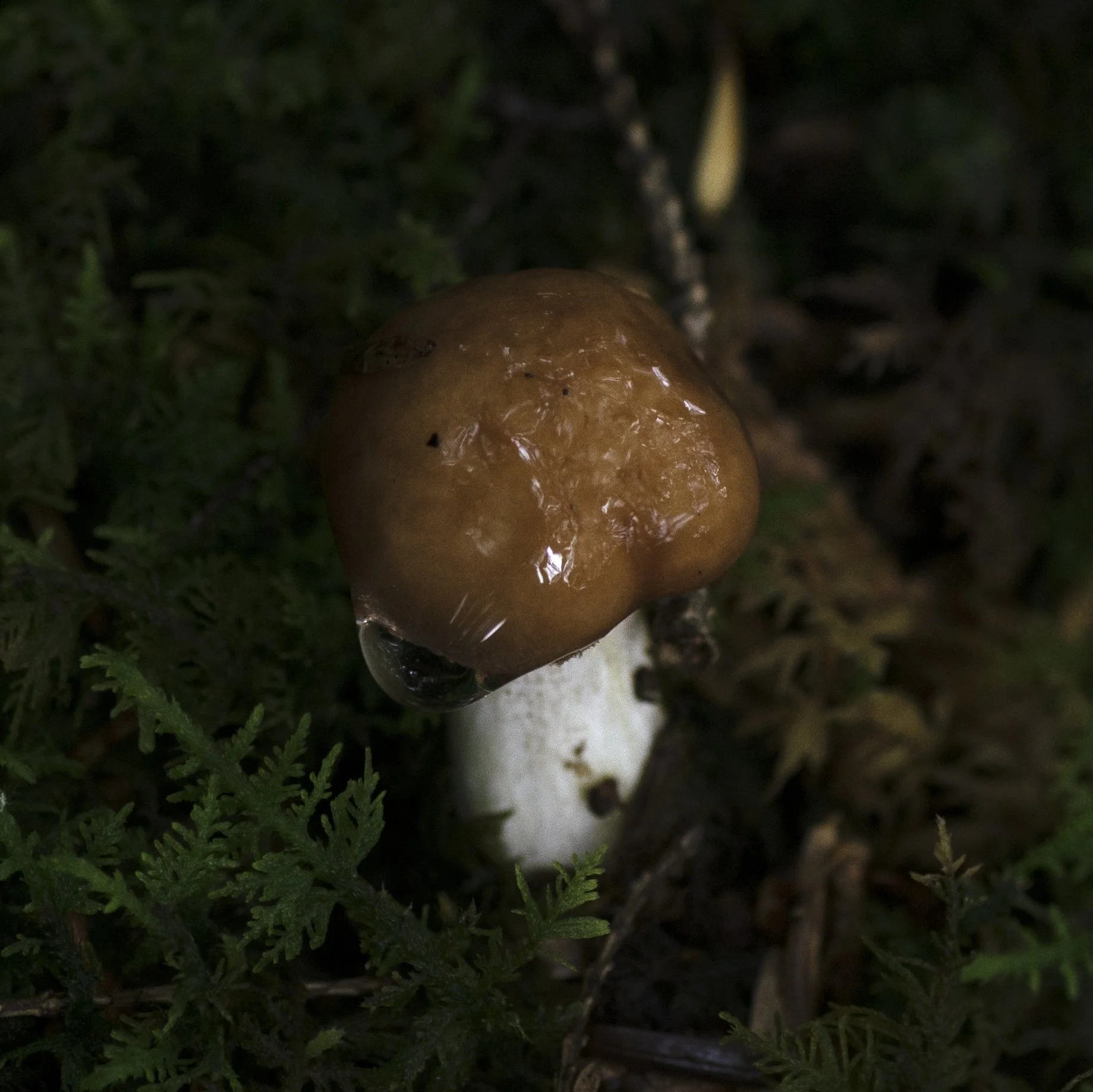 DSC_0405.jpg