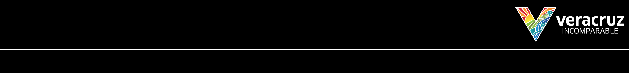 veracruz-logo.png