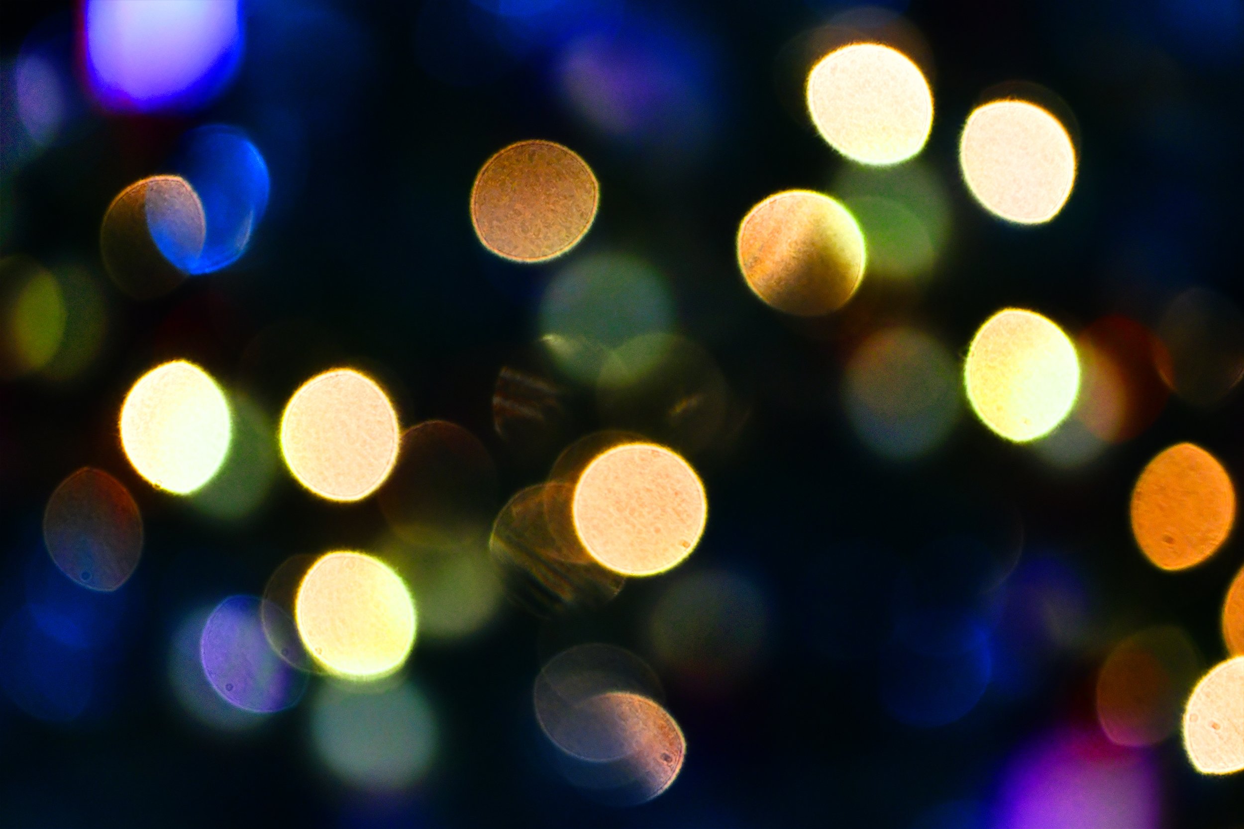 kac_nyc-2025-blur-bokeh-background.jpg