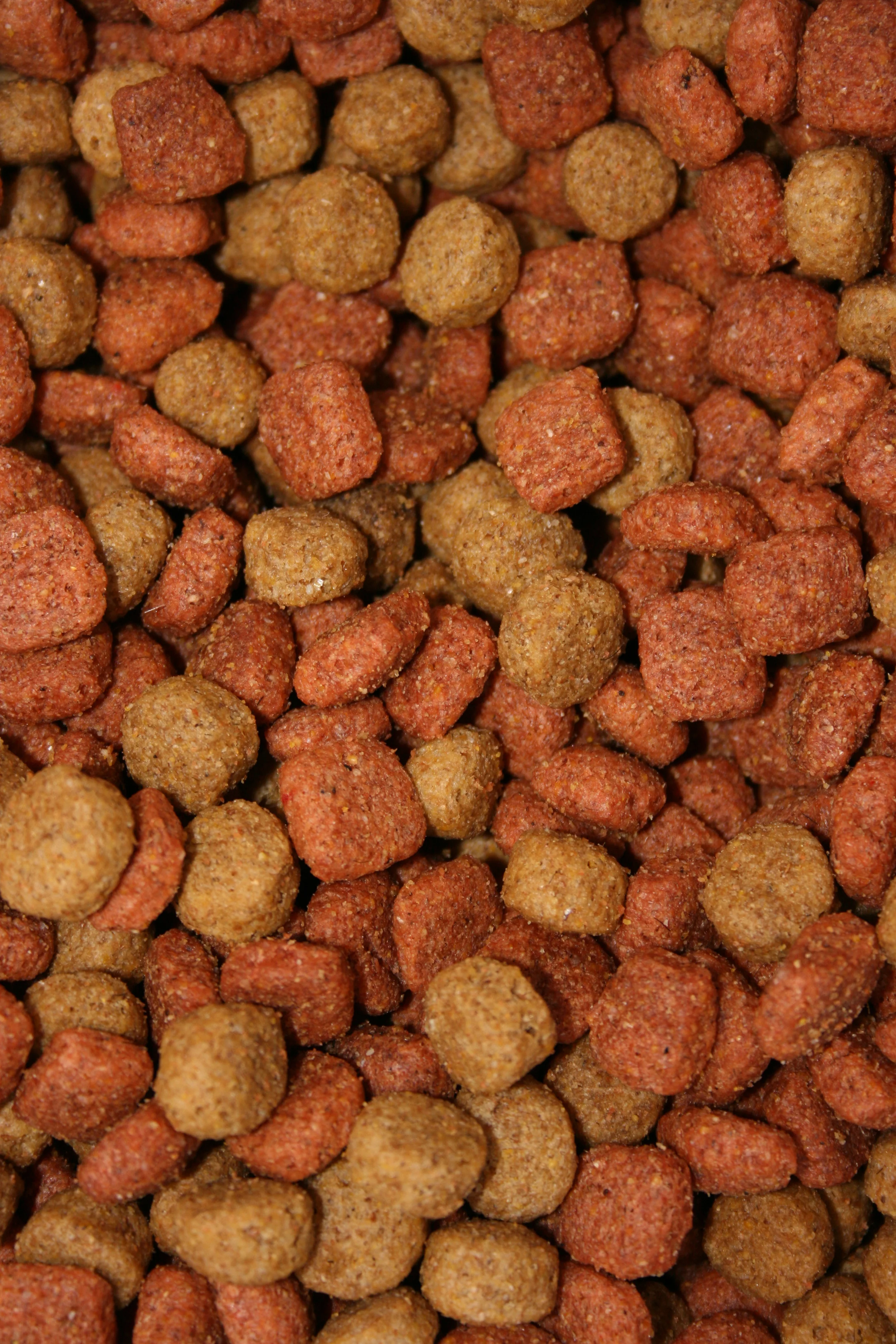 Dog Food Party *do not rotate image*.jpg