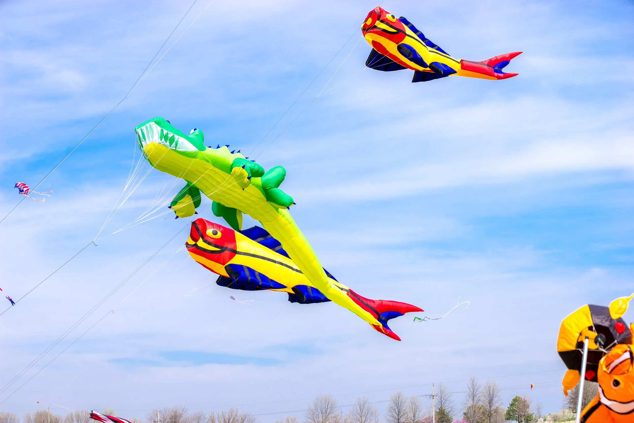 20140419-DSC00686.jpg