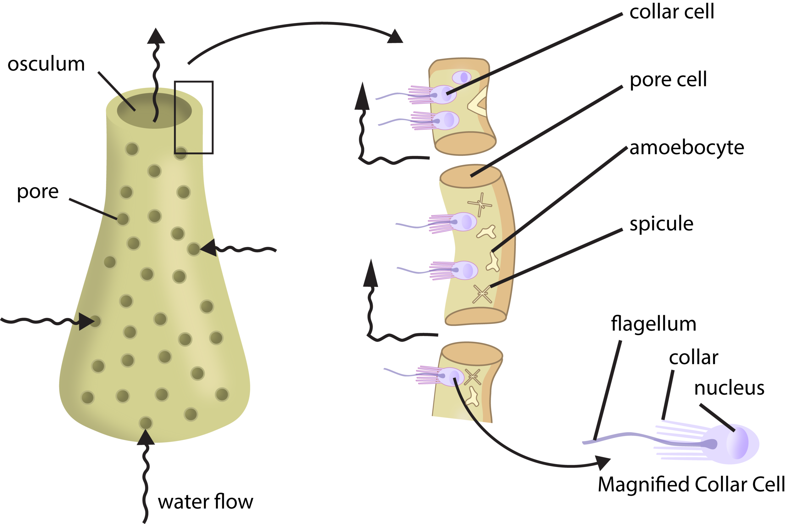 figure 4.2.png
