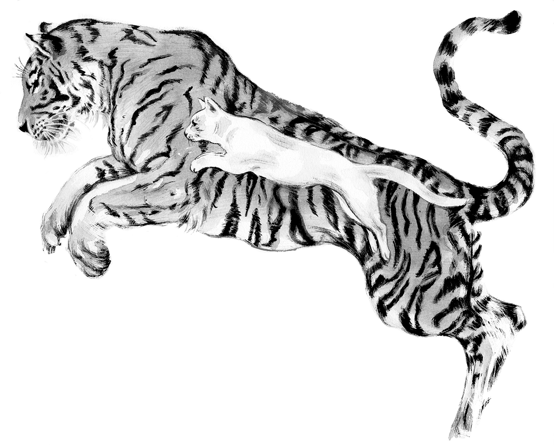 TigerCatWEB.jpg