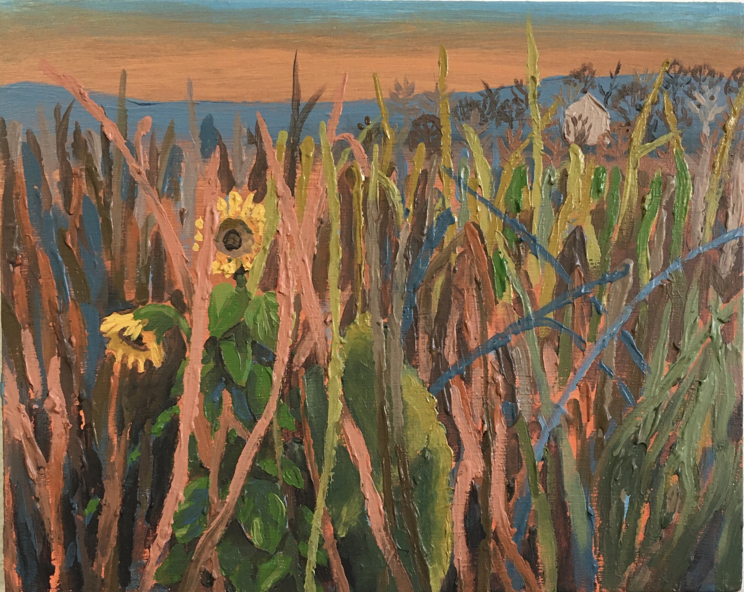 68_Sunflowers in the Marsh.jpg