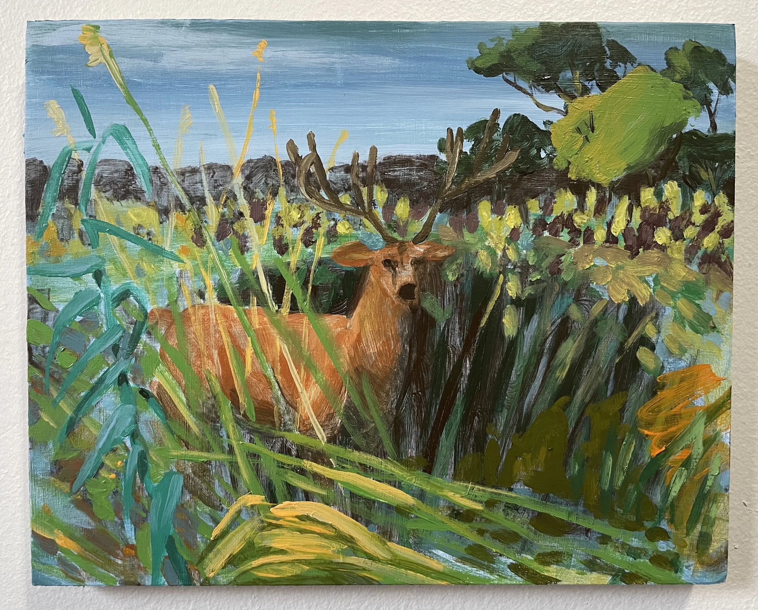 70.2_Fire Island Deer.jpg